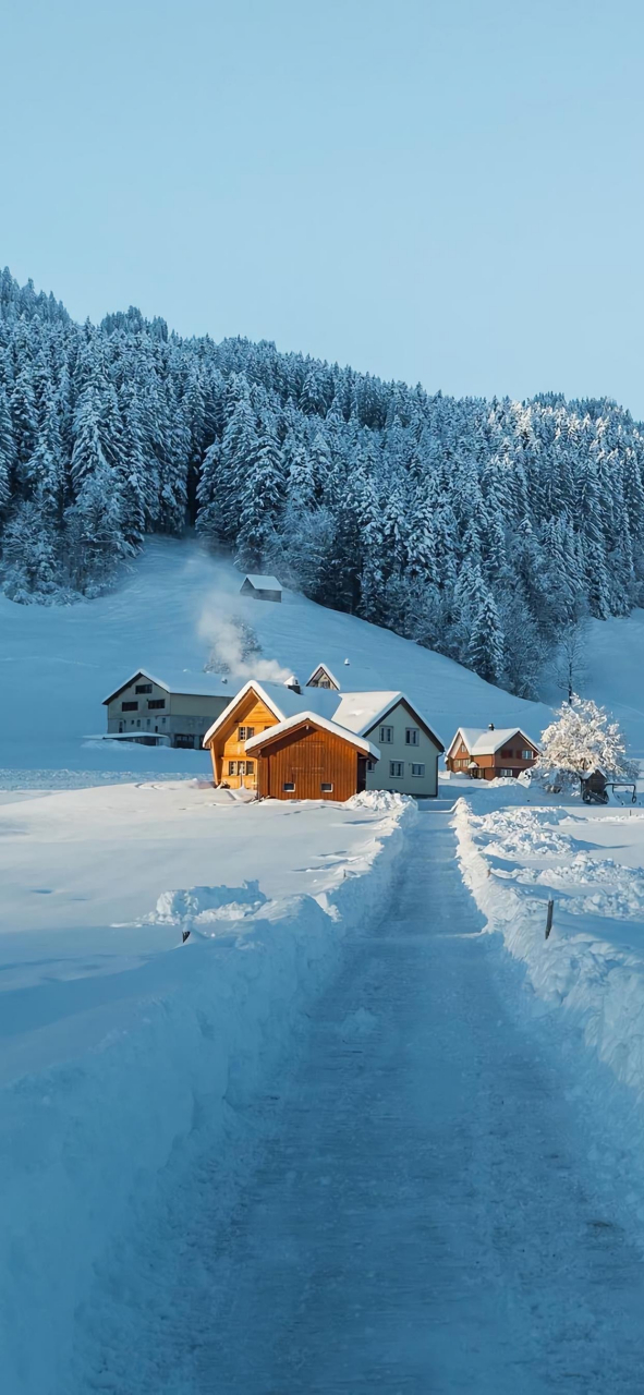 雪景壁纸|景色壁纸