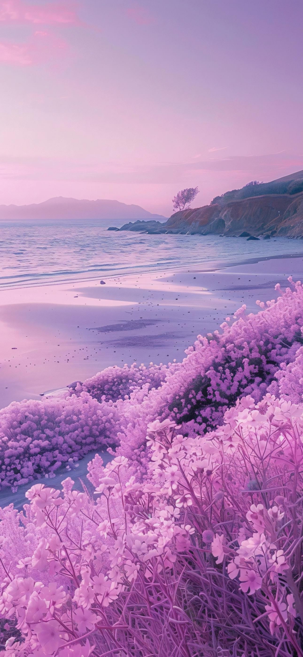 梦幻粉色系大海壁纸