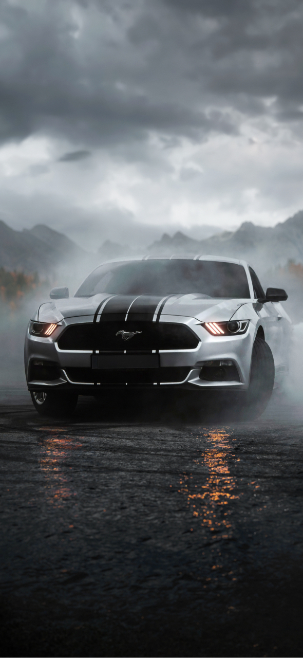 590_1280竖版 竖屏