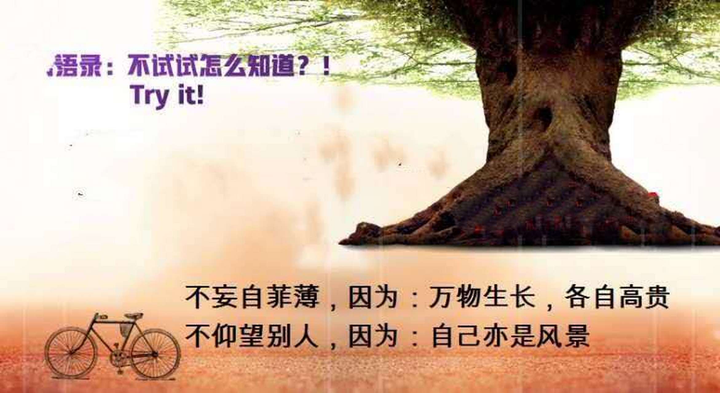 不妄自菲薄,不仰望别人