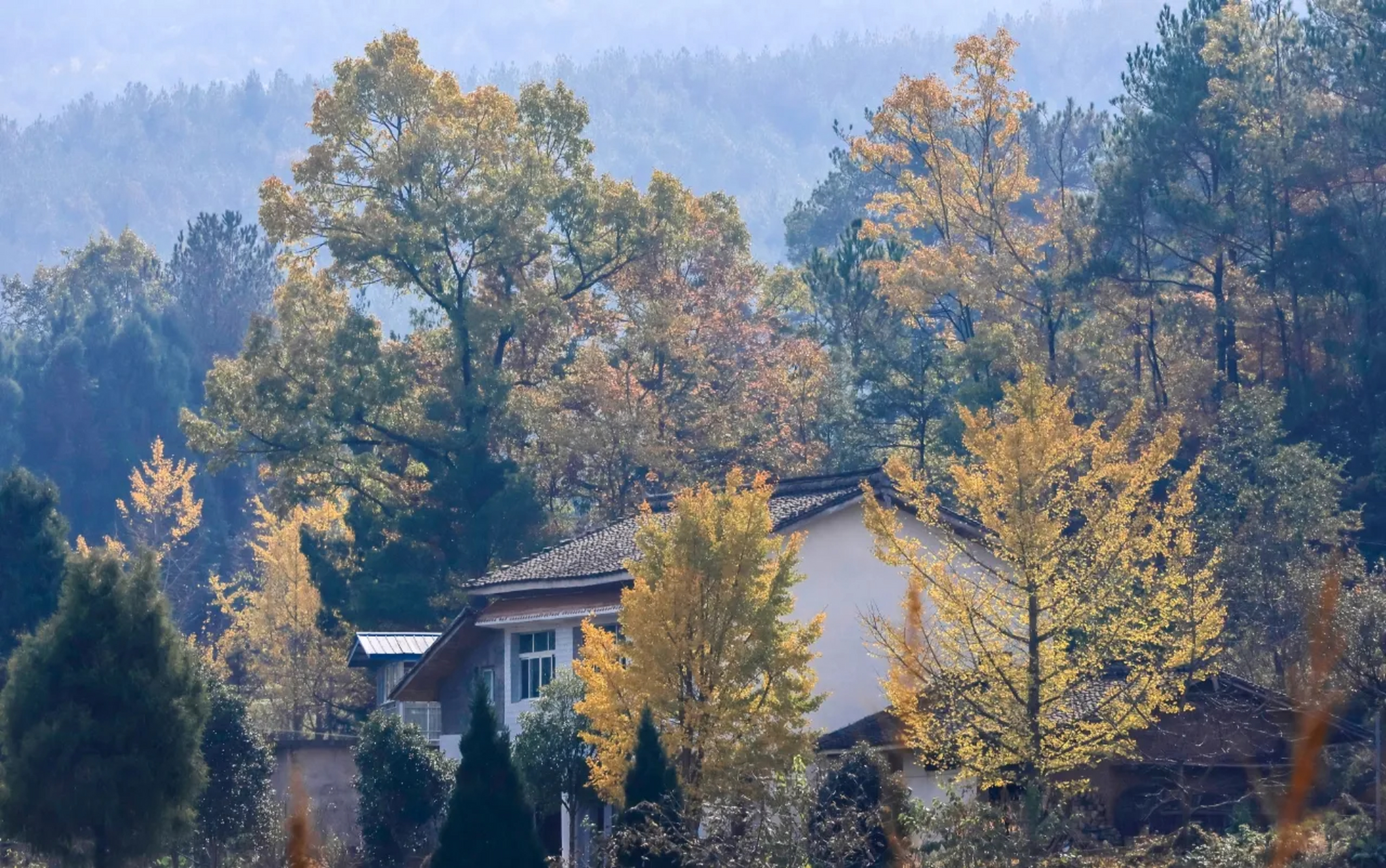 月坝秋色 月坝位于四川广元白朝乡境内,高山湿地,风光独特,是一个离