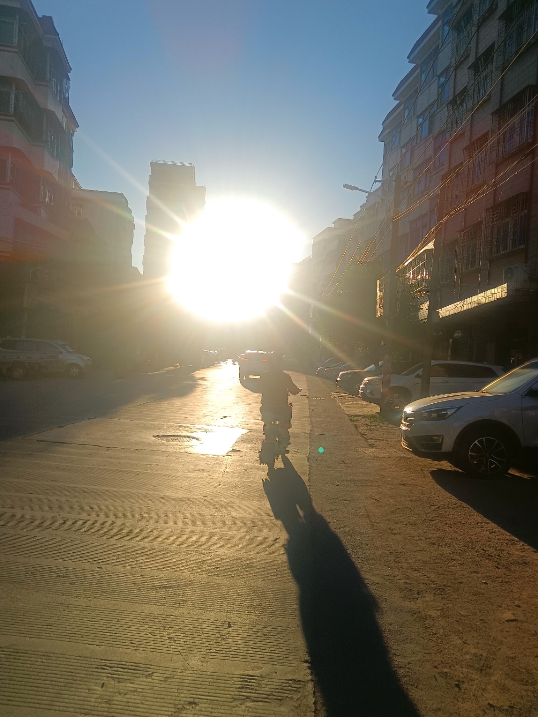 早晨出门的路上,刚巧遇到了阳光灿烂的日子,这个太阳日子好太好太,把