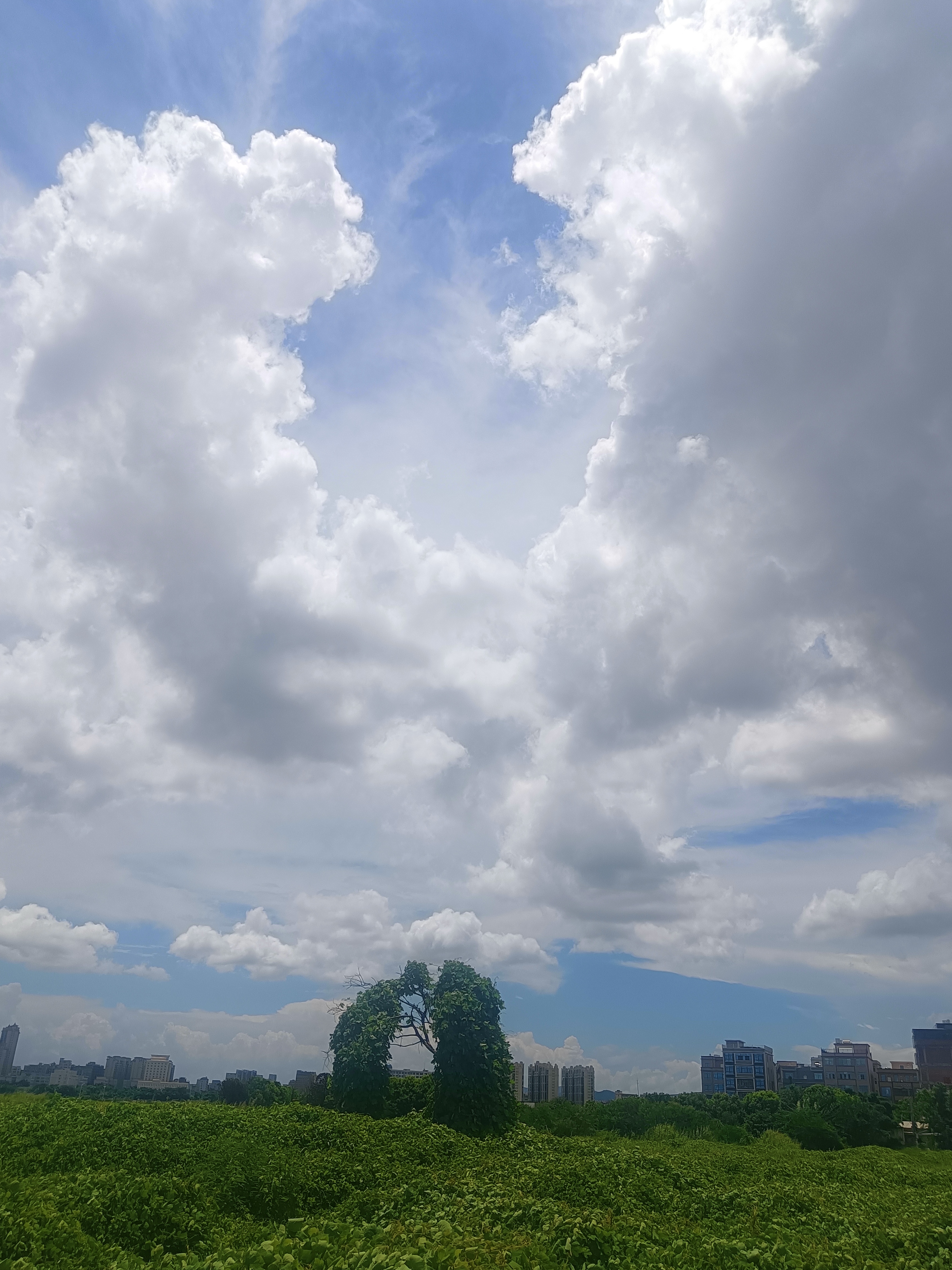 天空之城,好大的白云,像似一只展翅高飞雄鹰大翅膀,似开又合的样子,把