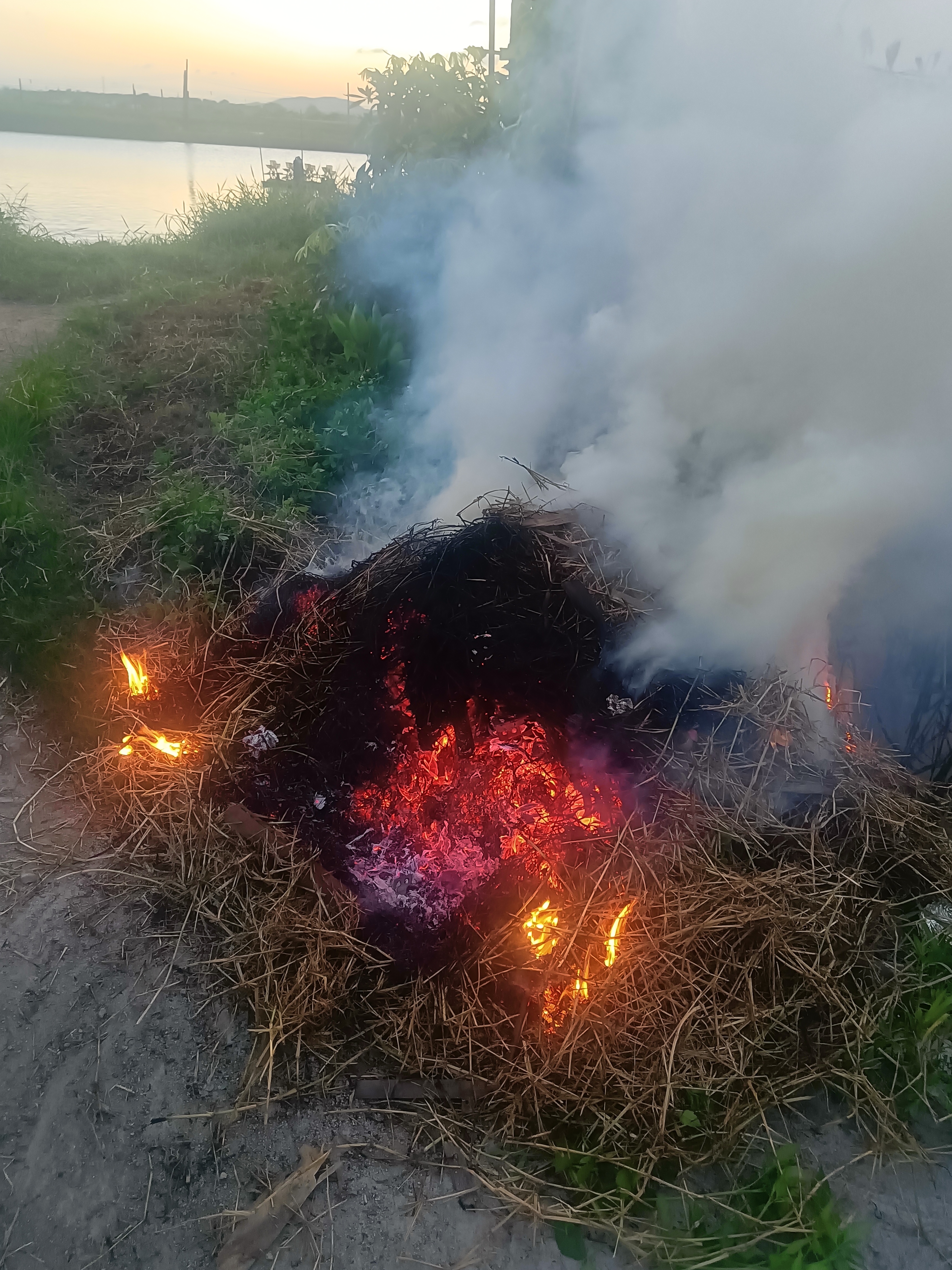 来到小城野外处,一堆真实柴草在熊熊烈火中燃烧自焚,烟火气旺盛明亮照