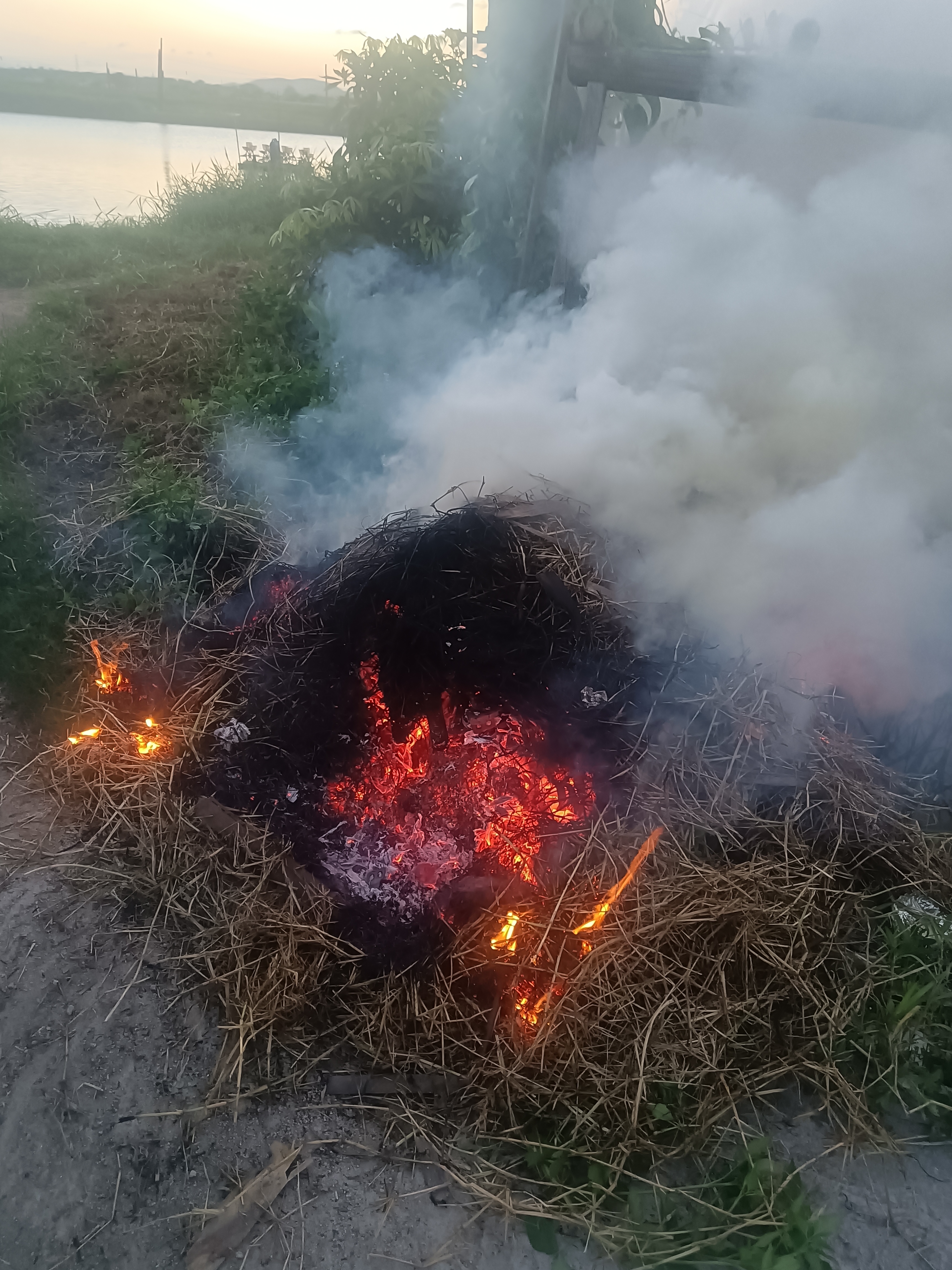 来到小城野外处,一堆真实柴草在熊熊烈火中燃烧自焚,烟火气旺盛明亮照