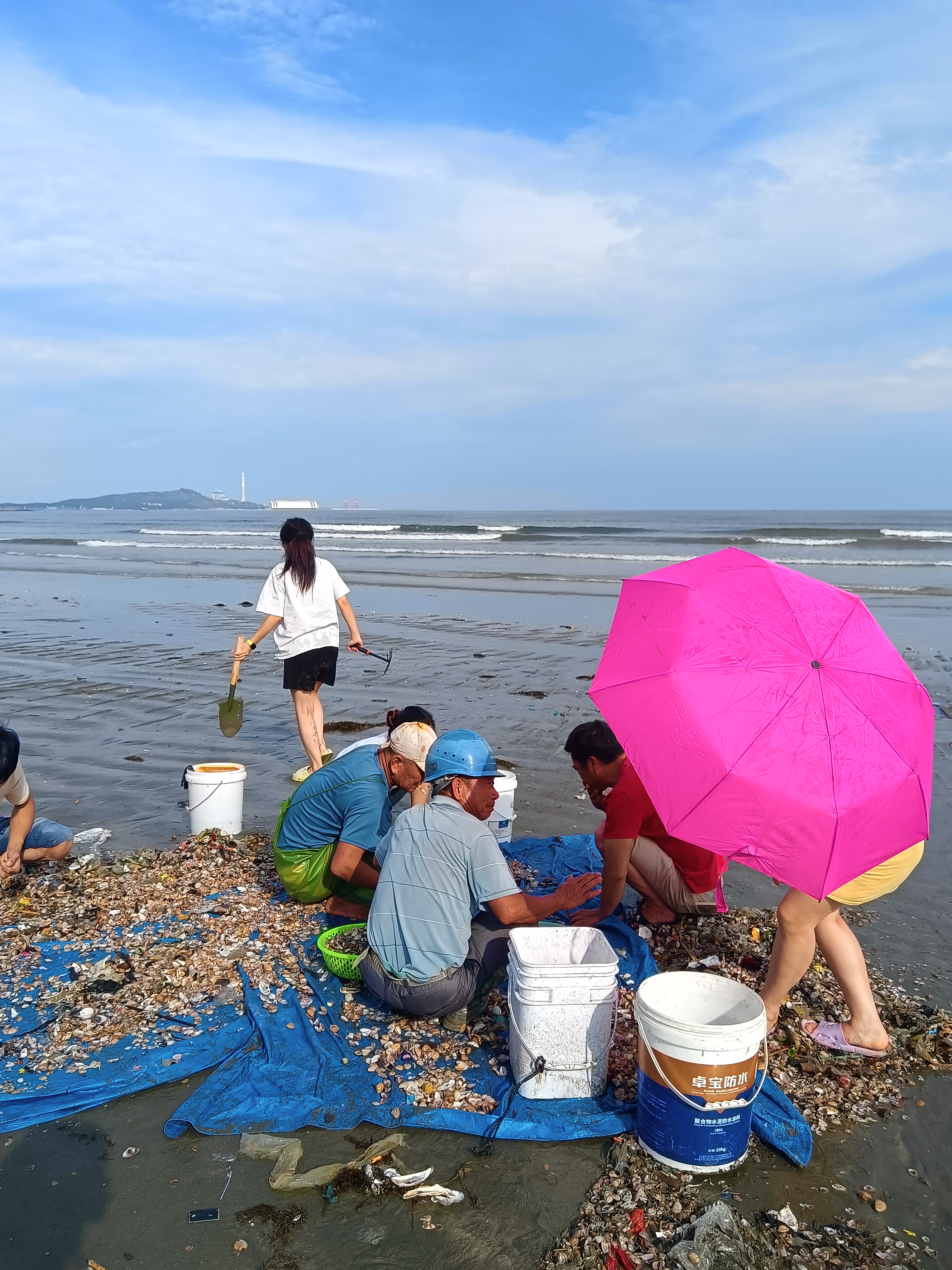 最近来海边掏宝贝运动,来海帮渔民挑选宝贝,自己挑一点,挑完了,拍照