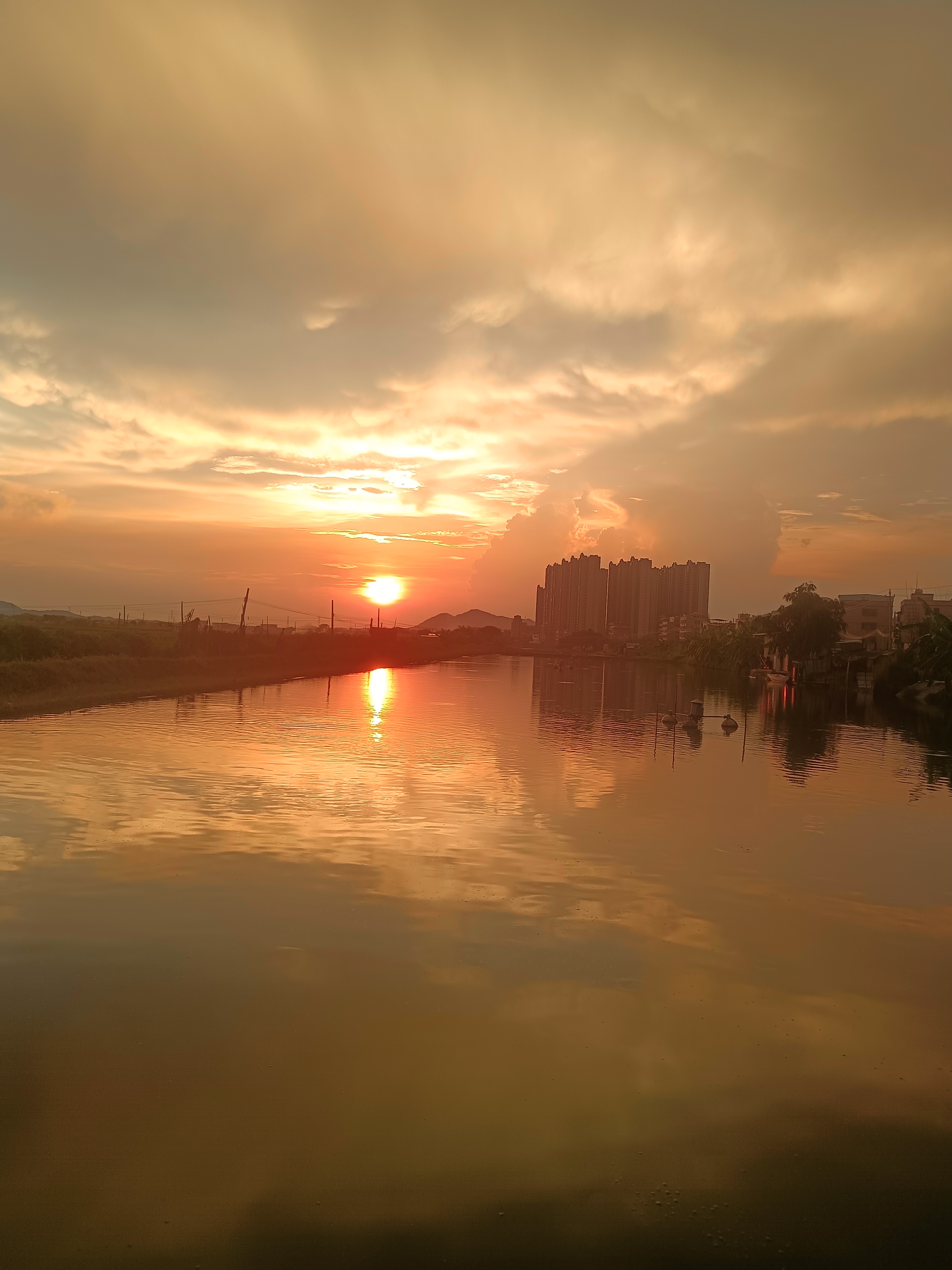 天气炎热又多变,夏日黄昏雨后,又出来了夕阳红.