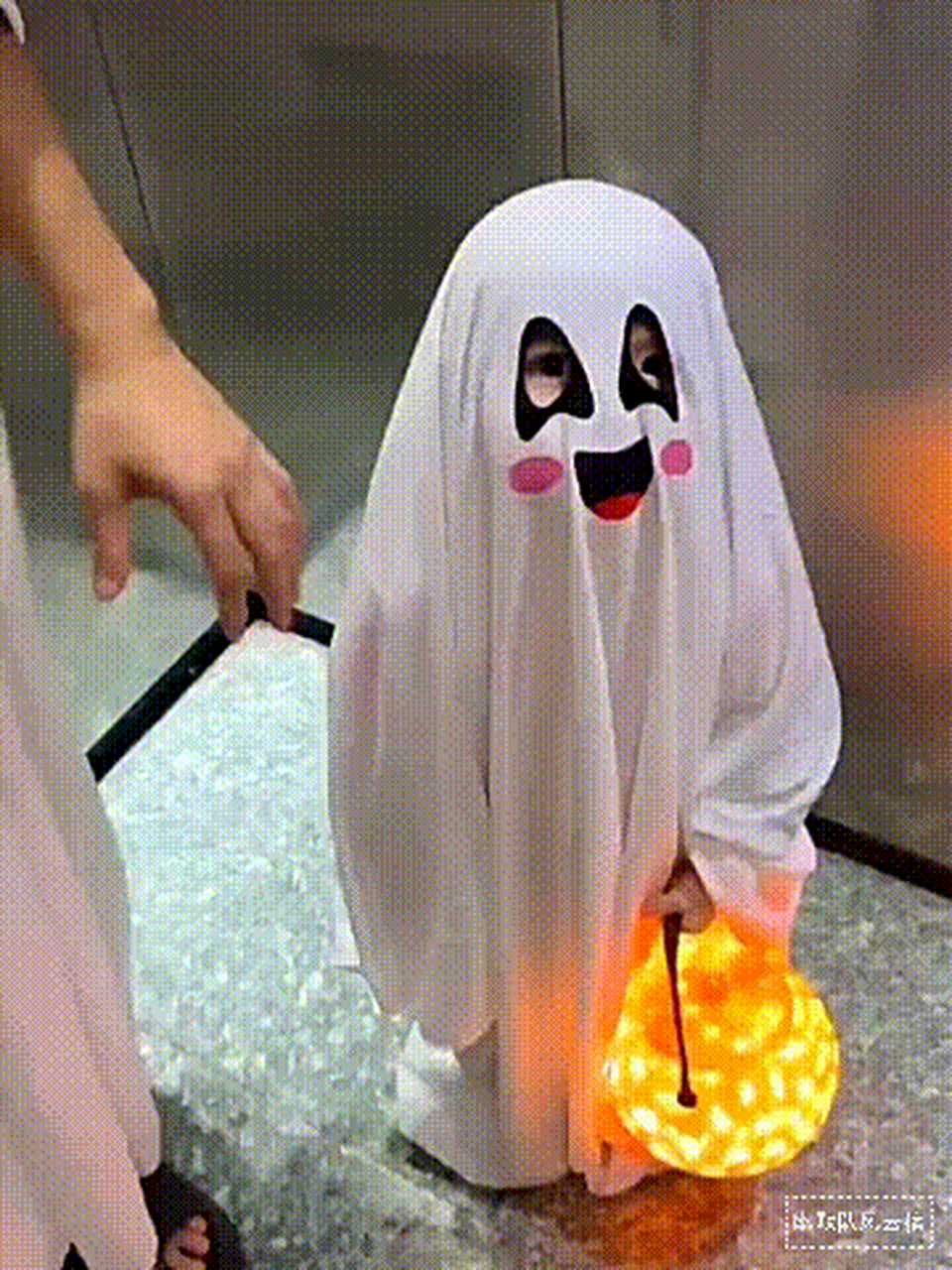 还有这么萌的阿飘嘛