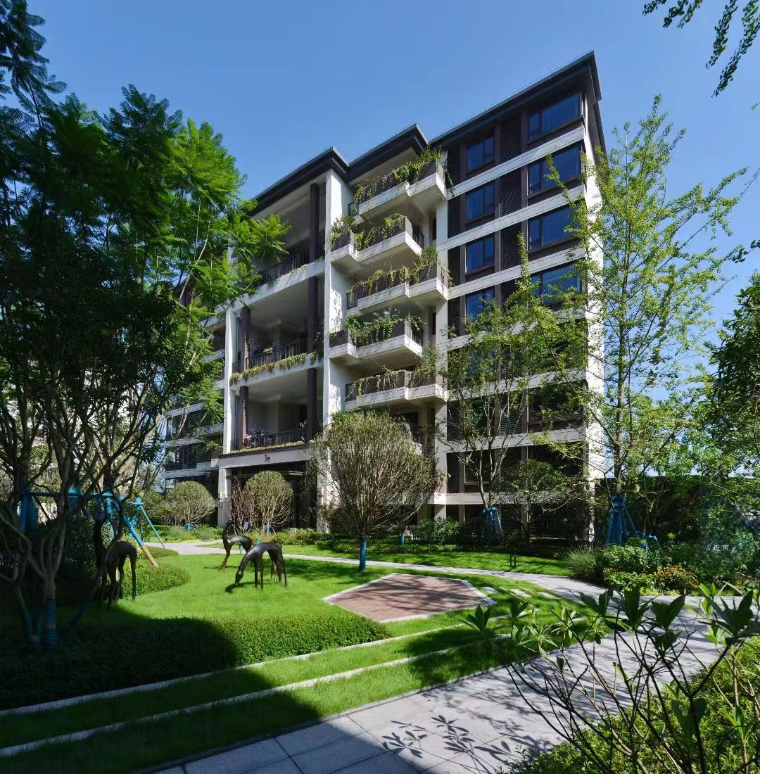 拯救我的居然是