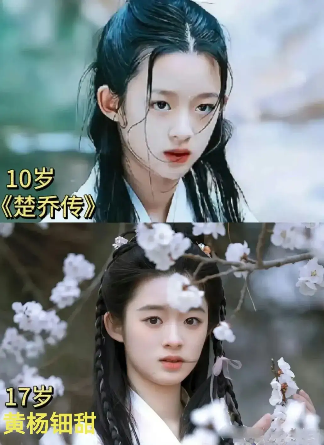 这三位童星都参演过比较热门的电视剧和综艺节目,如今都已经进入到