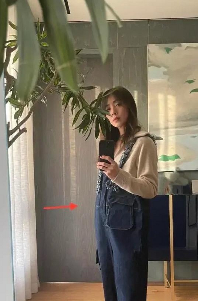 孙莉这圆鼓鼓的肚子看着像怀孕了