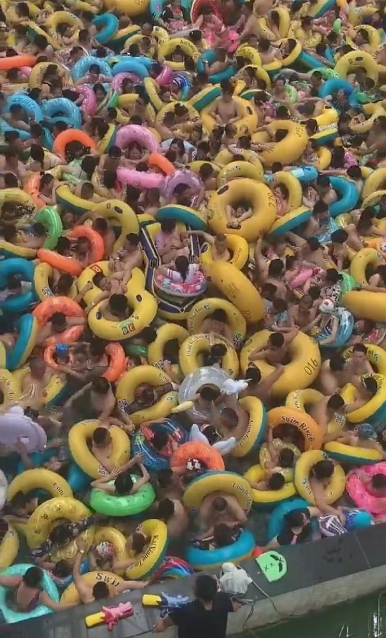 这是游泳?难道不是下饺子