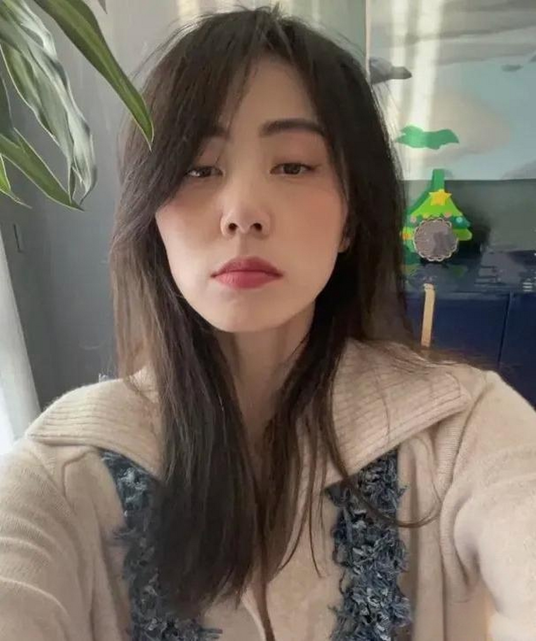 孙莉这圆鼓鼓的肚子看着像怀孕了