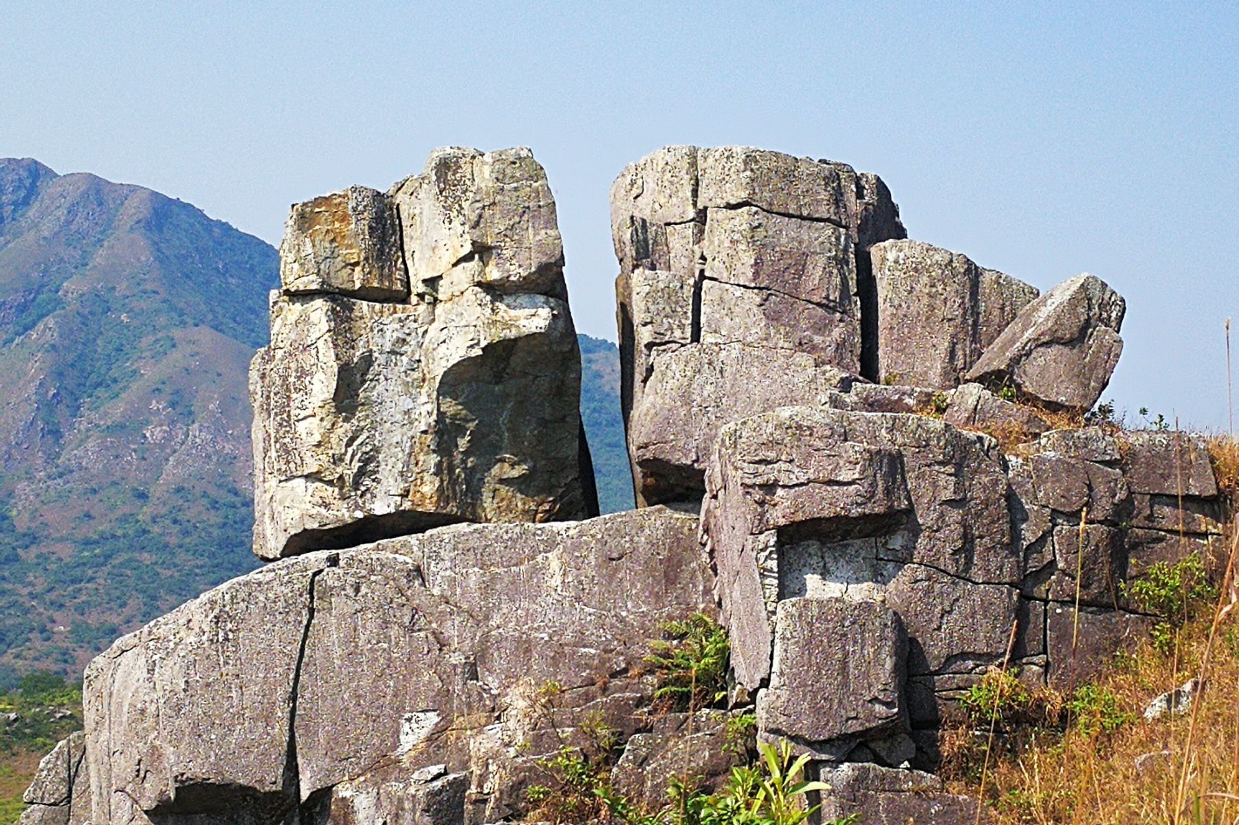 书可以是避风港,也是躲避的洞穴