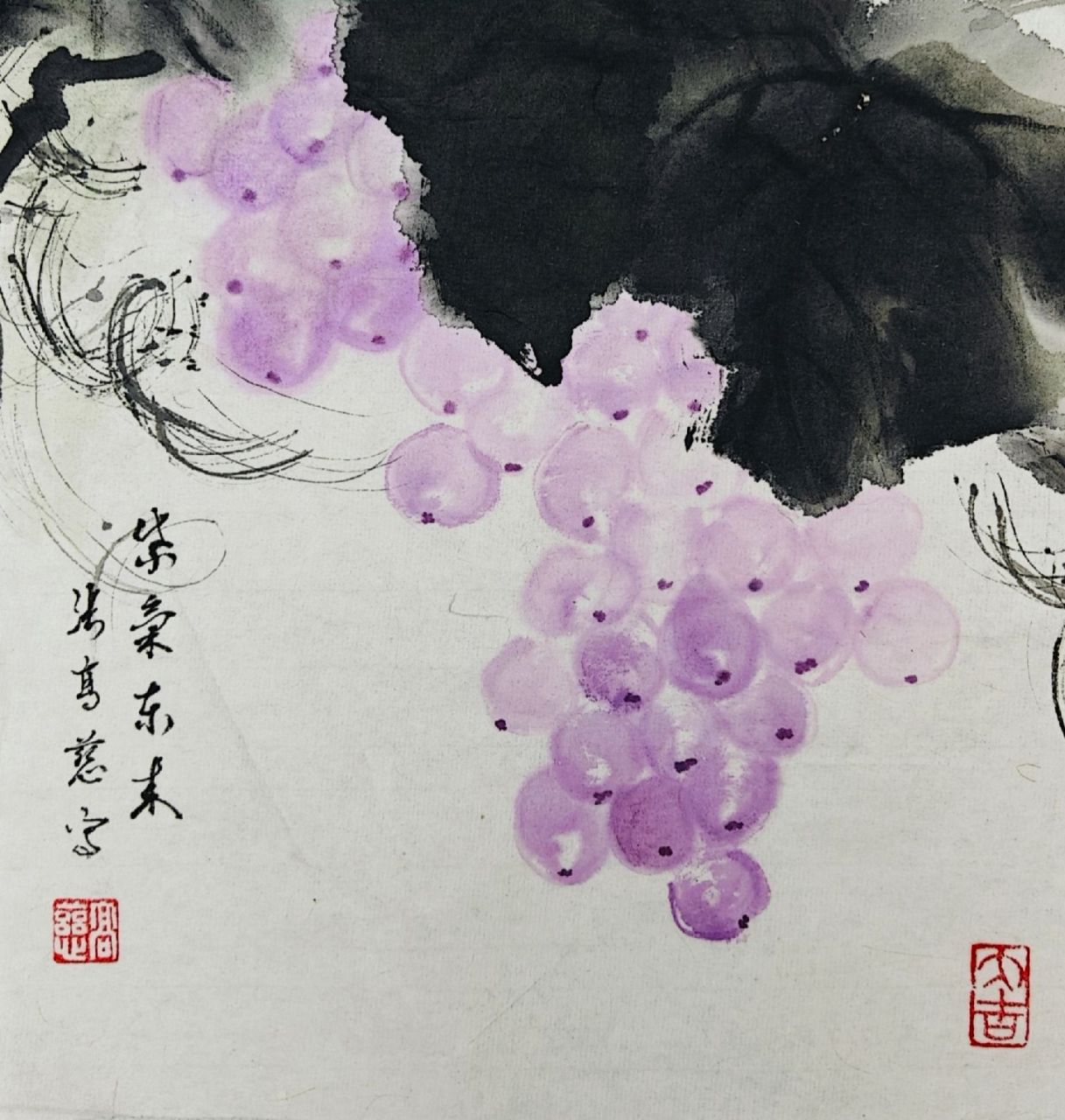 国画葡萄