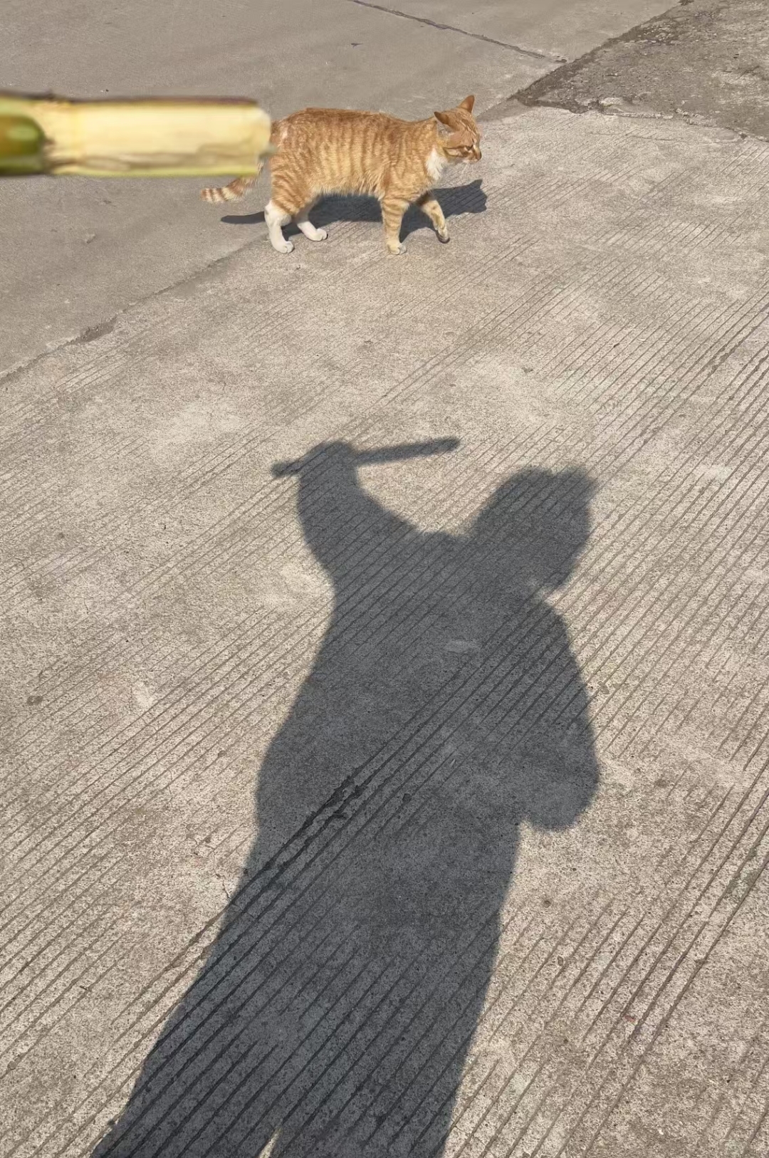 抖音偷影子=偷影子的人知乎