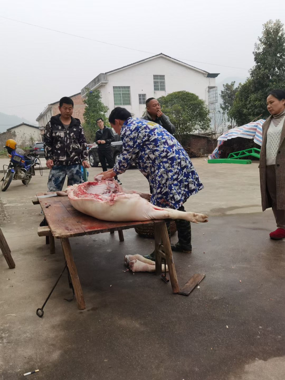 拍拍身边事# 杀猪饭,乡间习俗的温馨盛宴