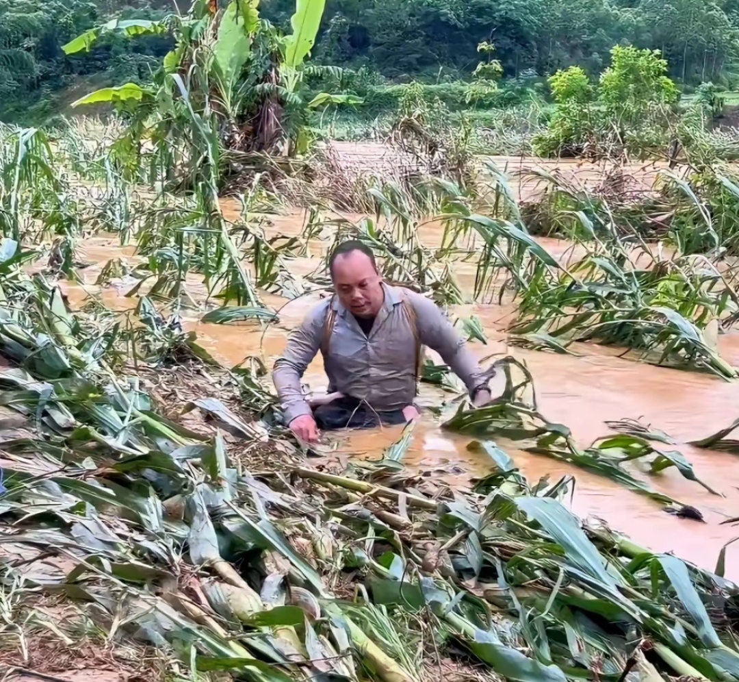洪水猛兽,冲毁老百姓的玉米地!