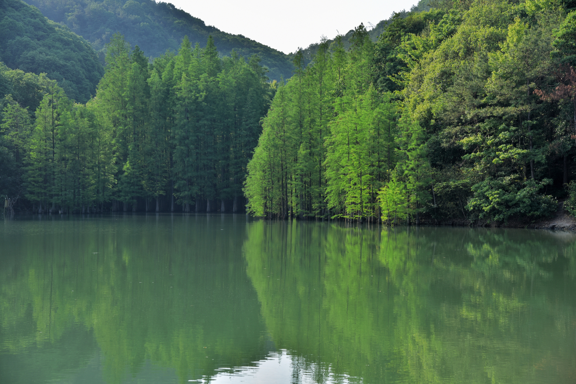 义乌"小九寨"-朝阳水库初夏