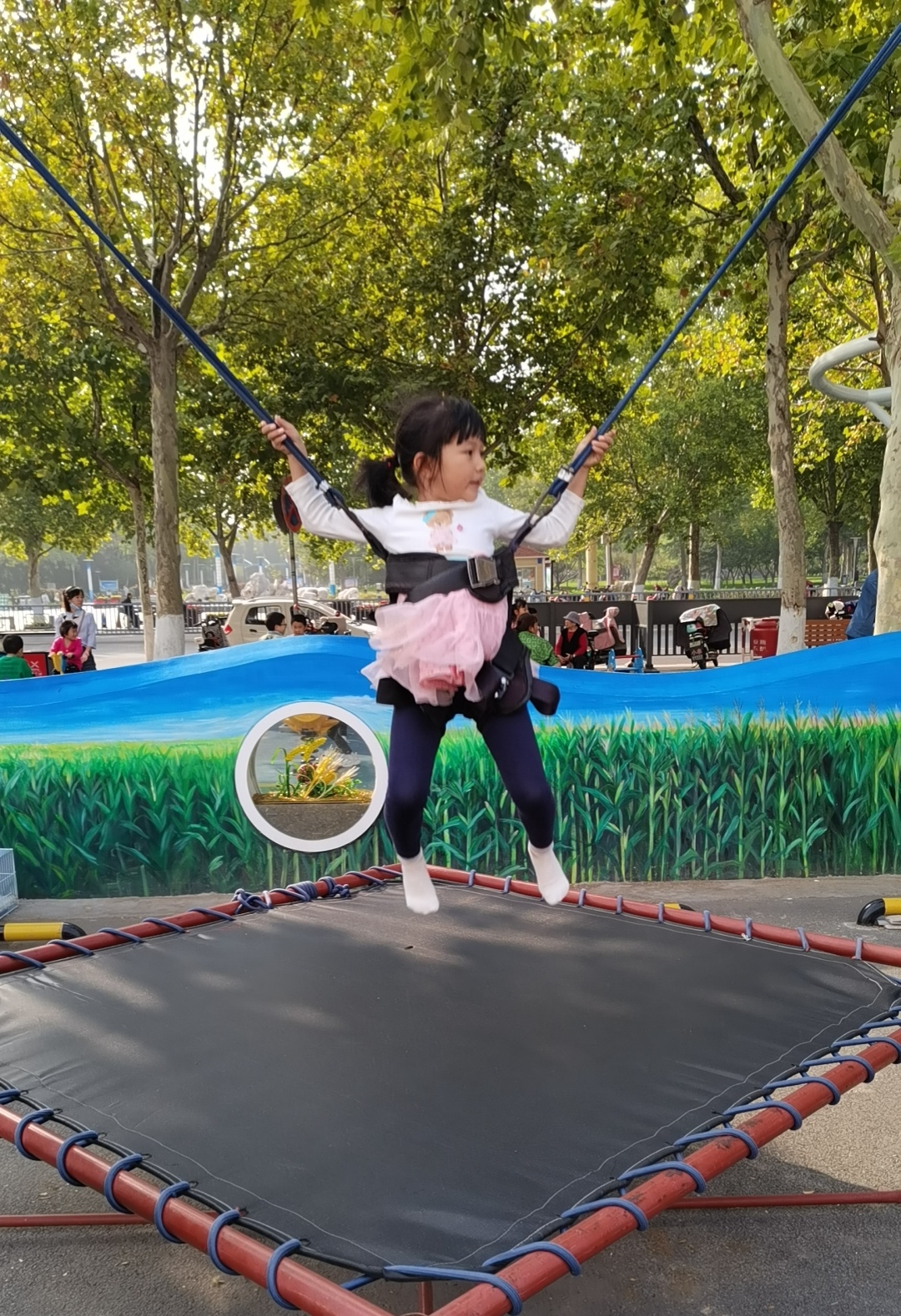 两有两无 看手机每个人喜欢不同,有人喜欢抖音,有