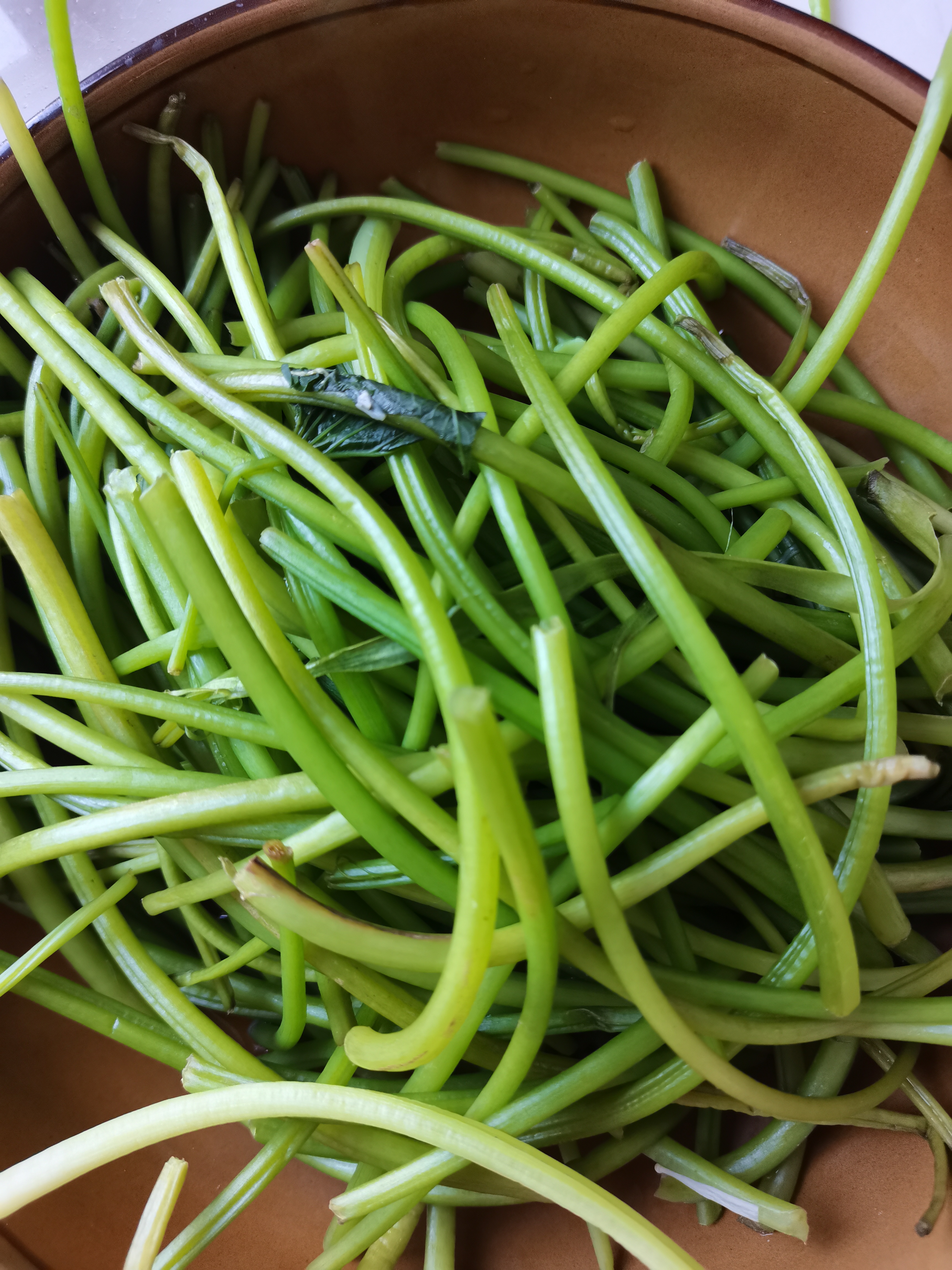 我老婆是从农村出来的,喜欢鼓捣着吃,当然不是什么山珍海味,而是野菜