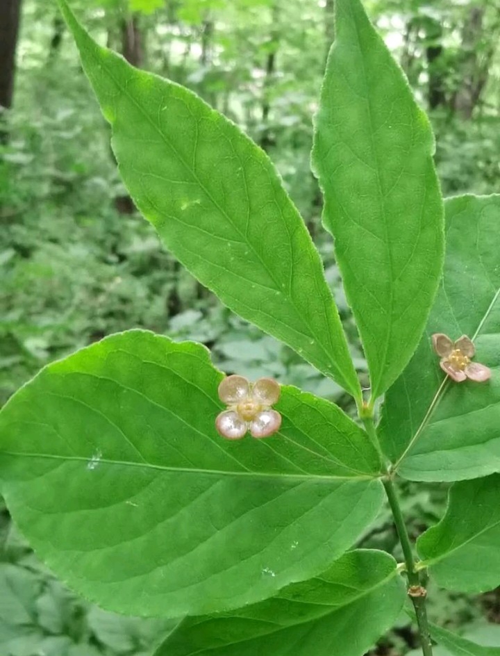 照顾好自己 2.照顾好生自己养自己的人 3