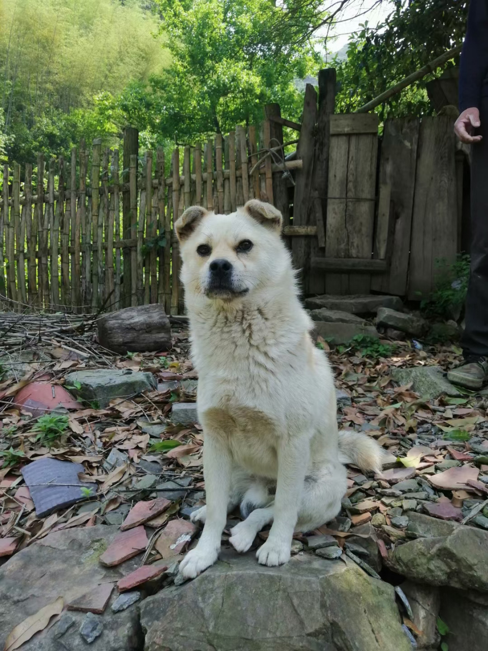 安徽泾县百户坑 #遇见好风景#百户坑位于安徽泾县境内,百户坑实质是一