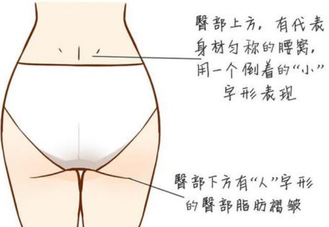 女性腰部位置图片