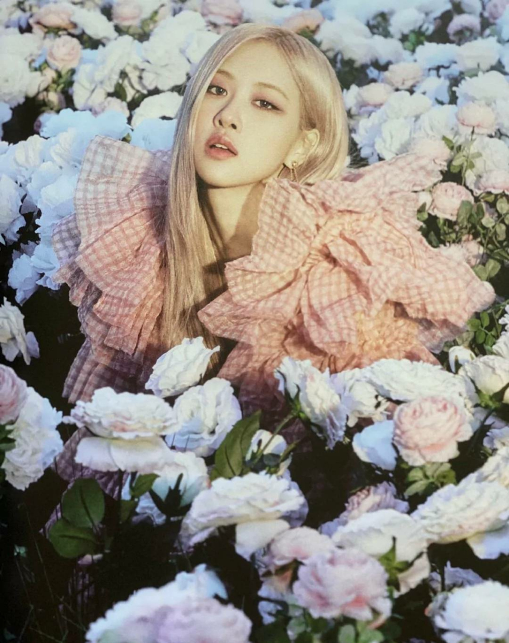 朴彩英 -我的女孩叫roseanne park. 她喜欢婴儿粉. 她不喜欢吃菠萝.