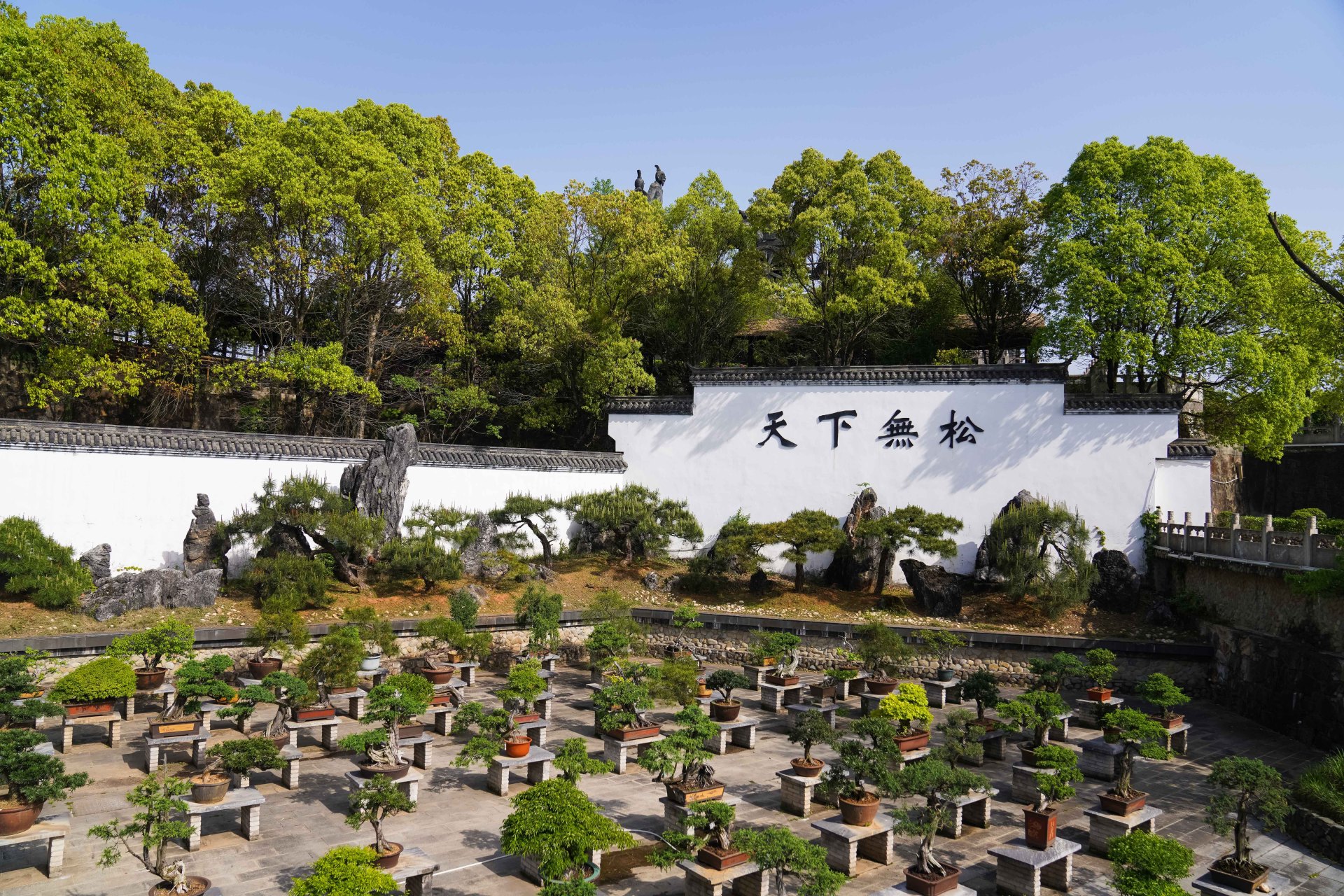 美好安庆|五千年文博园 #宜城花开 好"戏"连台##相约安徽·向春而行