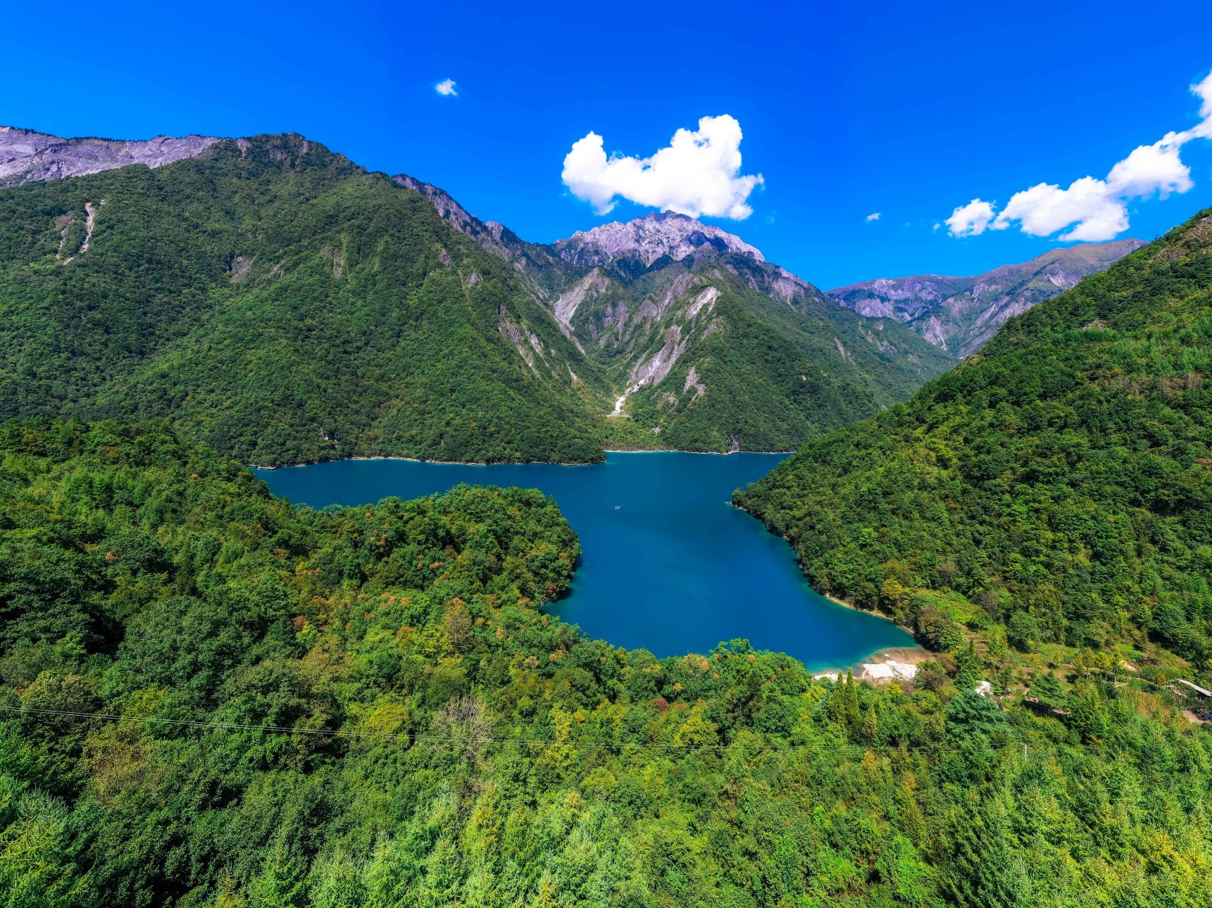 甘肃陇南文县天池国家森林公园 人生总有不期而遇的温暖,和生生不息的