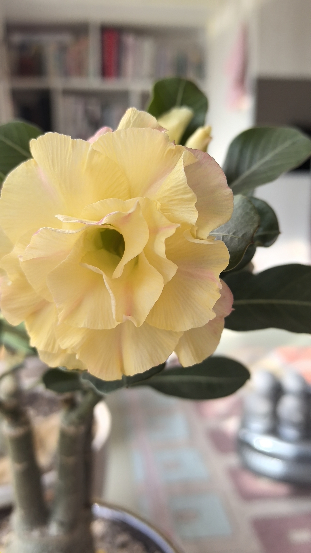 人生高低各自有时,翻山越岭,终会看到更美的风景