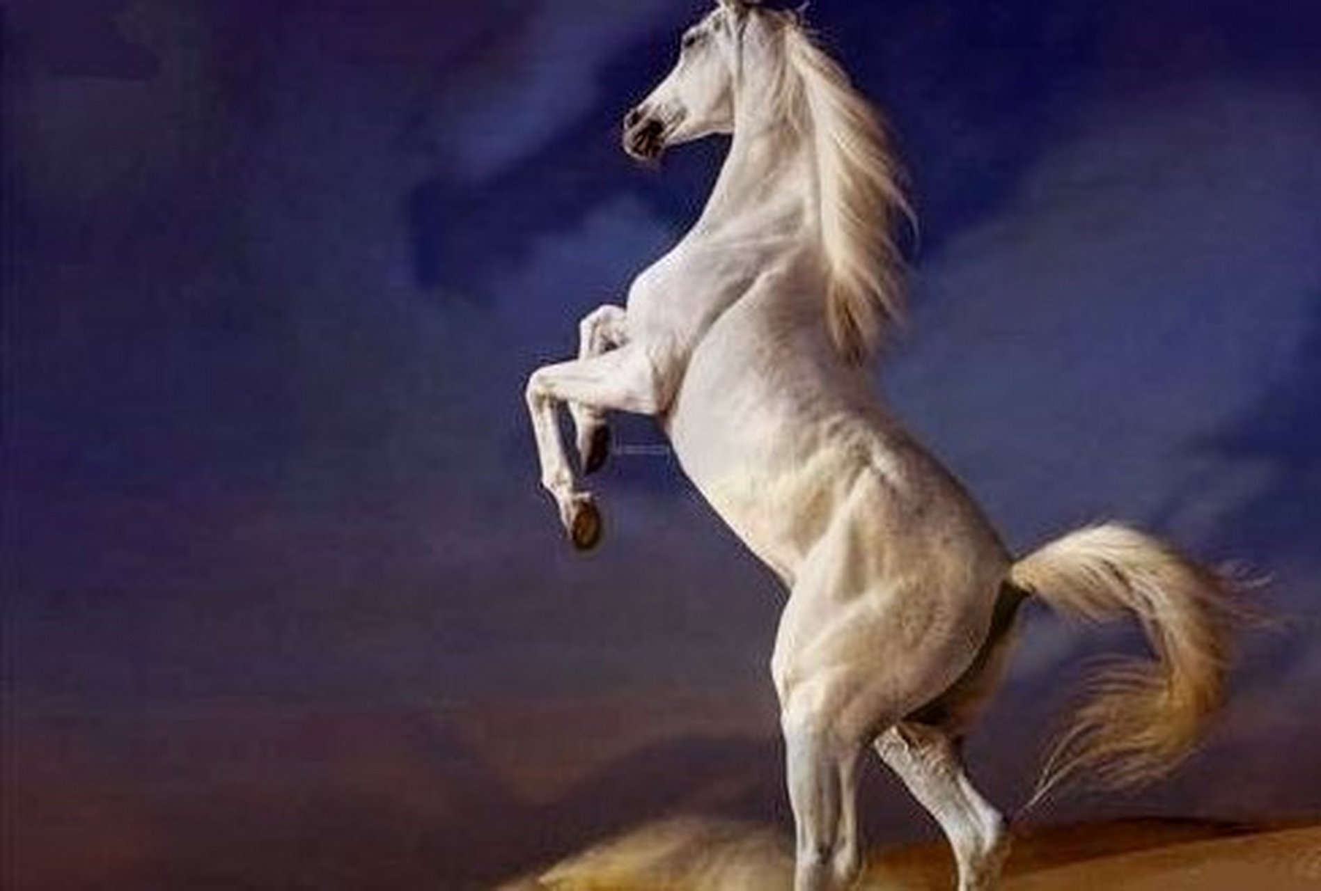 玉兰白龙驹,三国时期赵云坐骑,通体雪白可日行千里,一直追随赵云南征