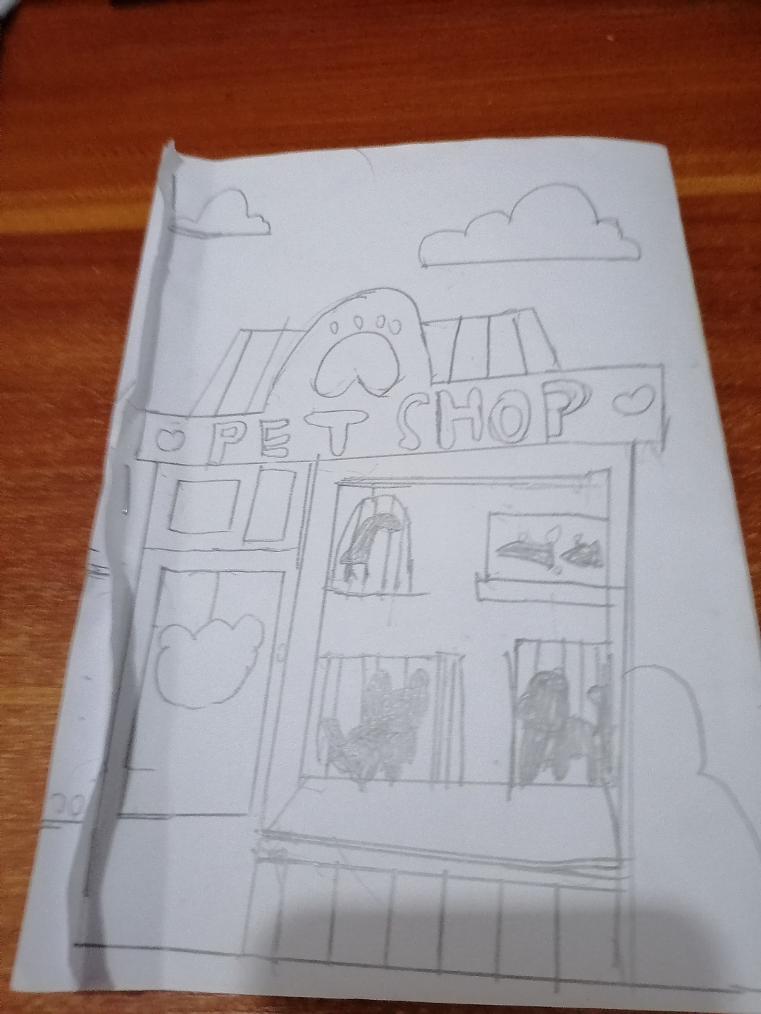 画宠物店
