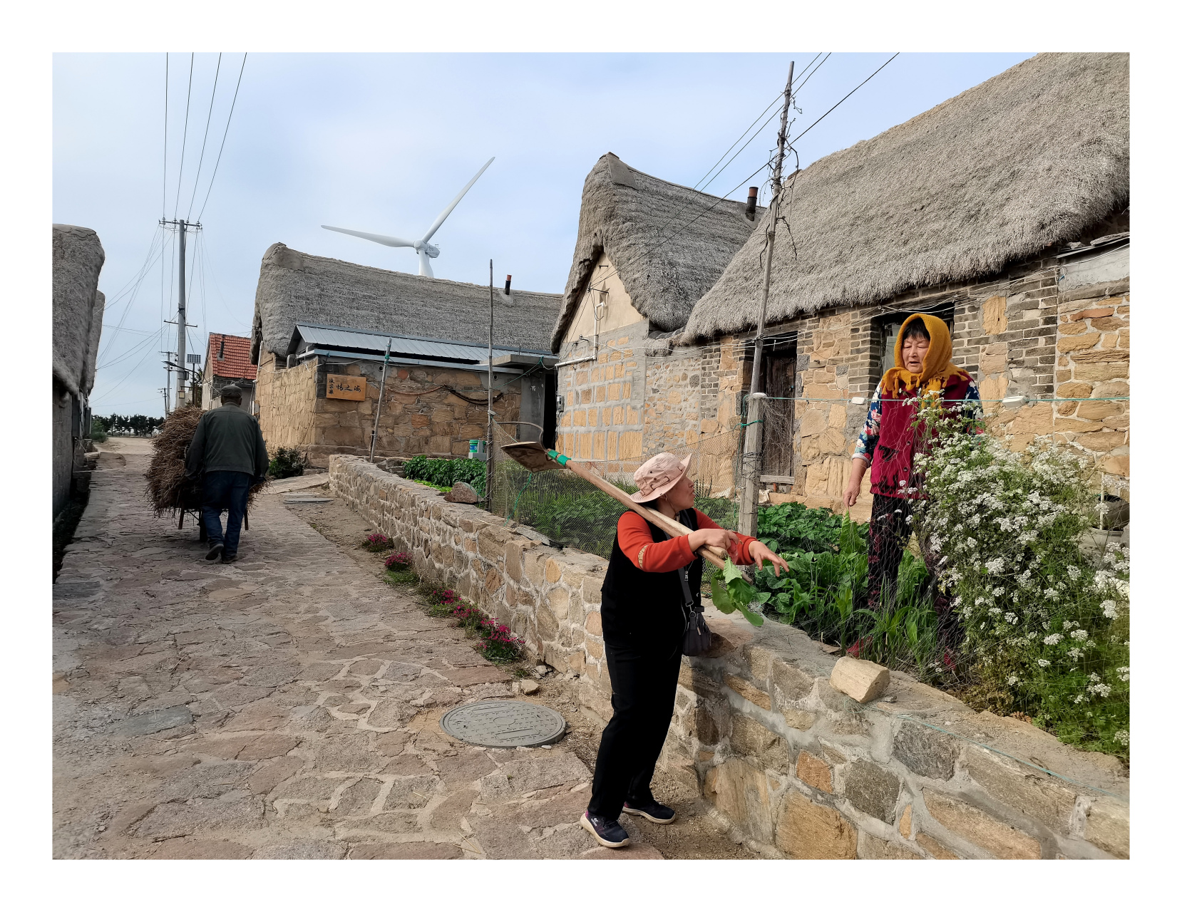 海草房,山东荣成一种非遗建筑物,在海边的村落里保留得非常好,已经