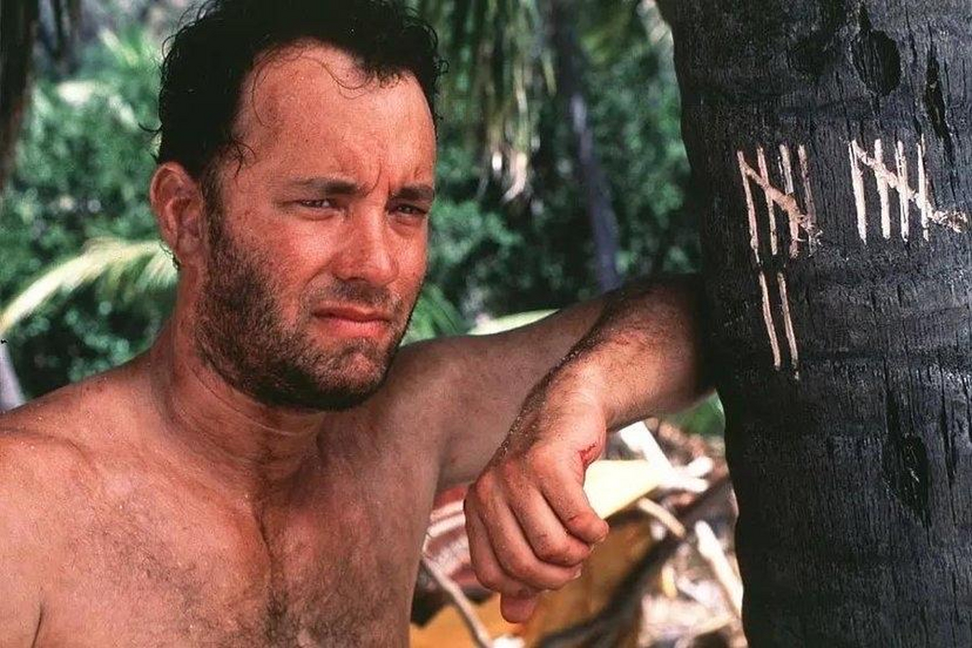 高分电影推荐#  电影《荒岛求生》不管在什么情况下都不要对人生失去