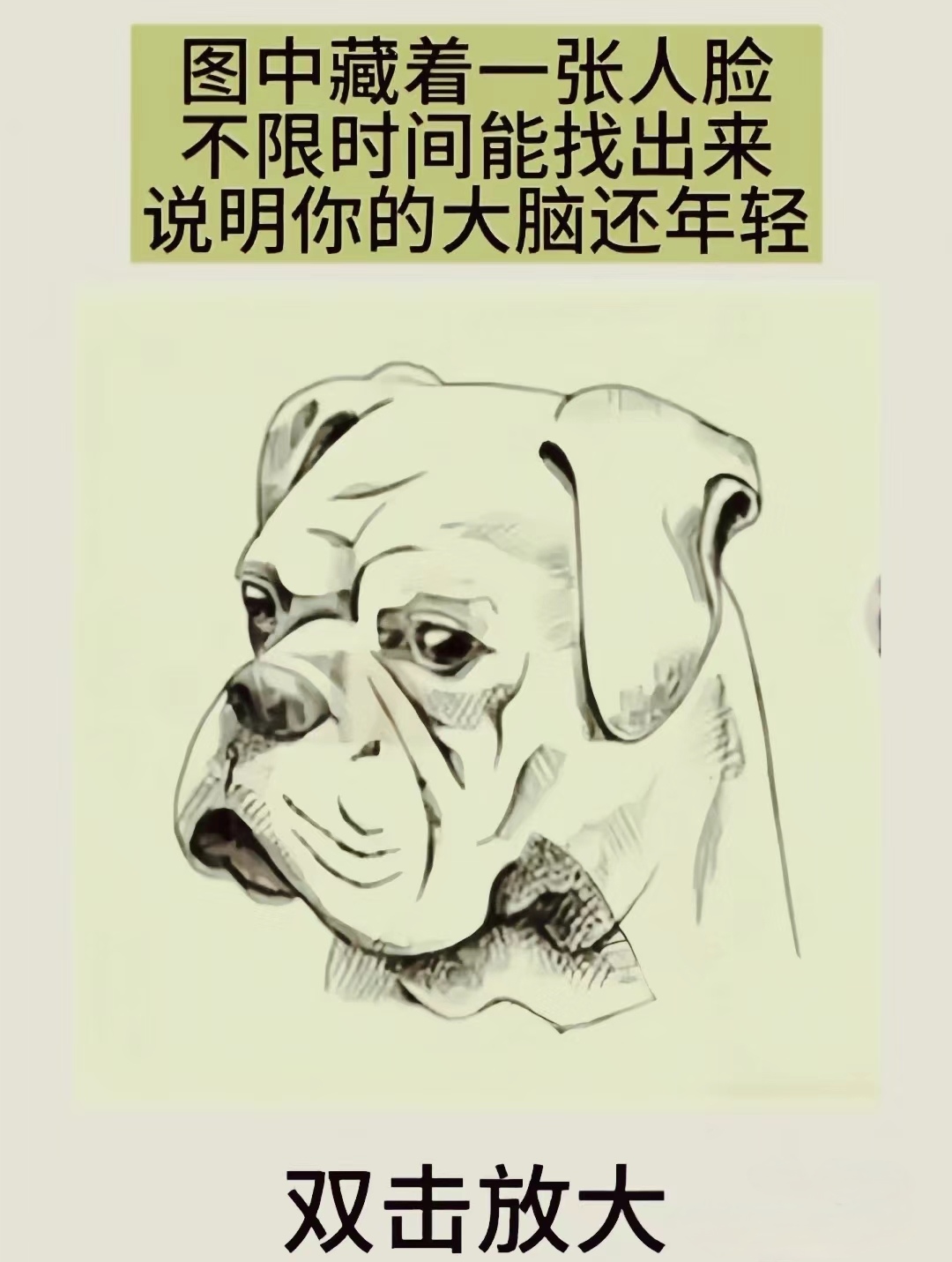 考眼力找到隐藏的人脸 狗狗里藏着人脸 如果你一眼就看出 说明智商
