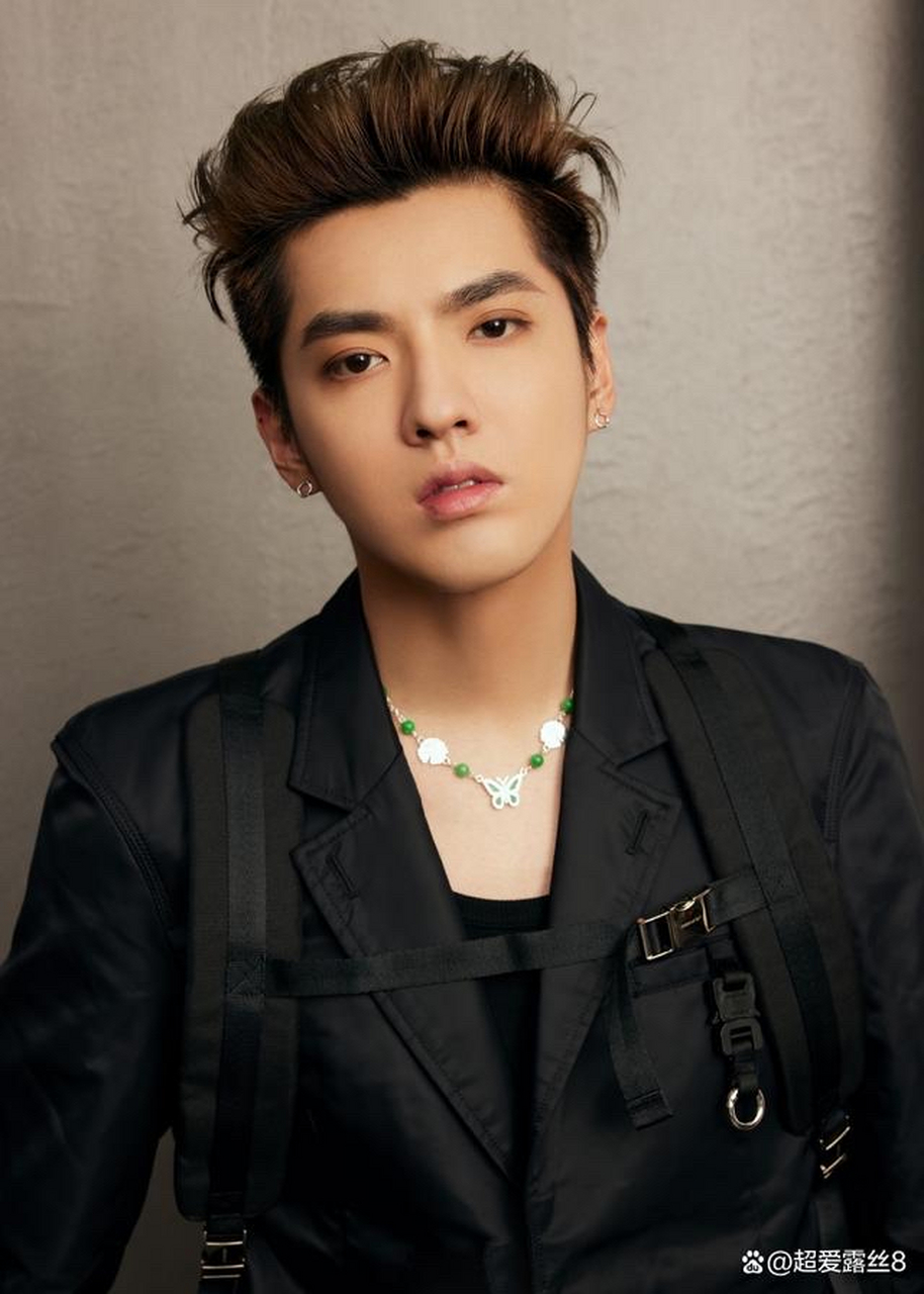 吴亦凡经纪公司被强执近1900万#  ,华帝股份要求解除与吴亦凡所属