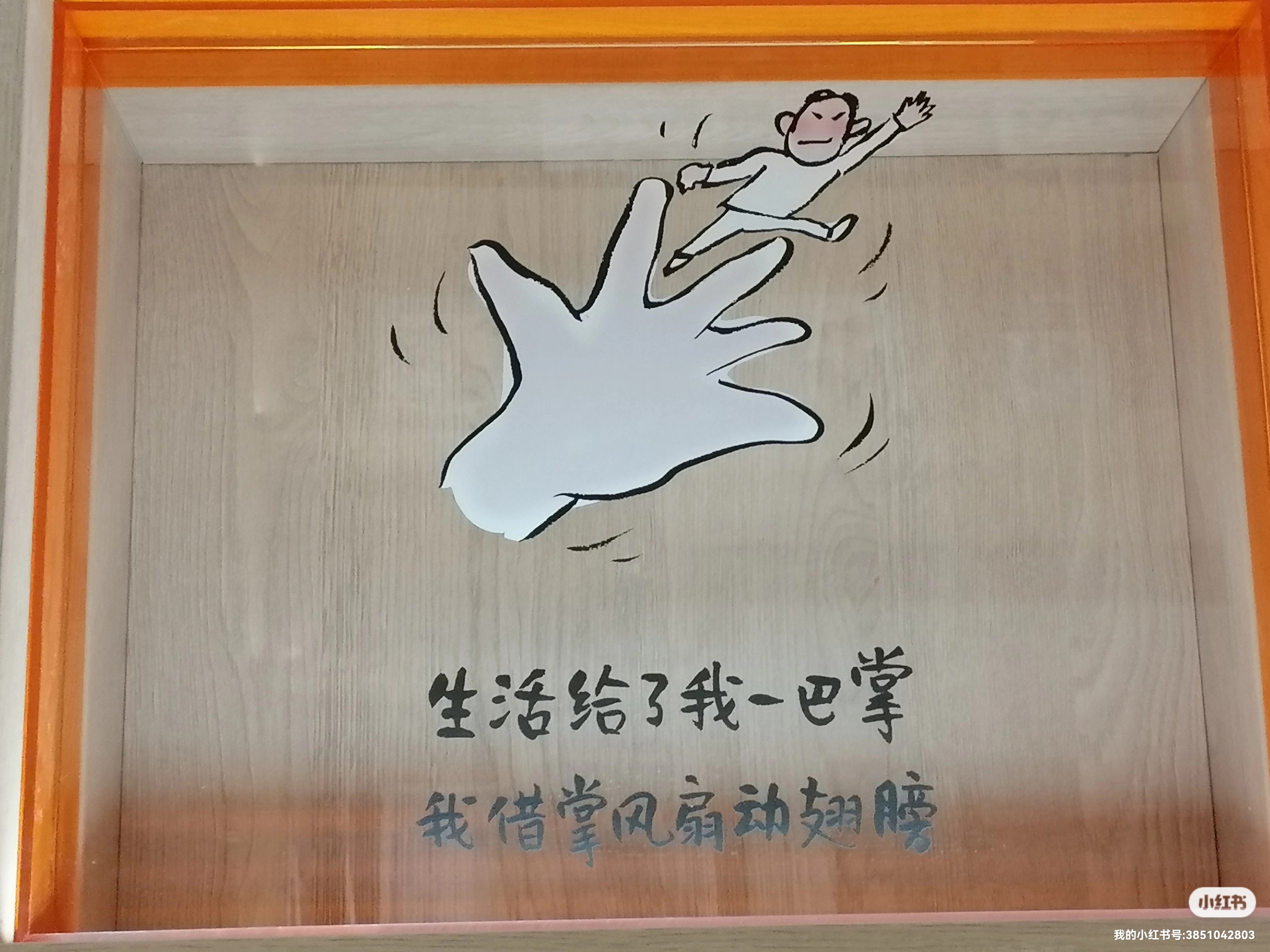 每一个人都是独立的个体,都有爱和被爱的权利