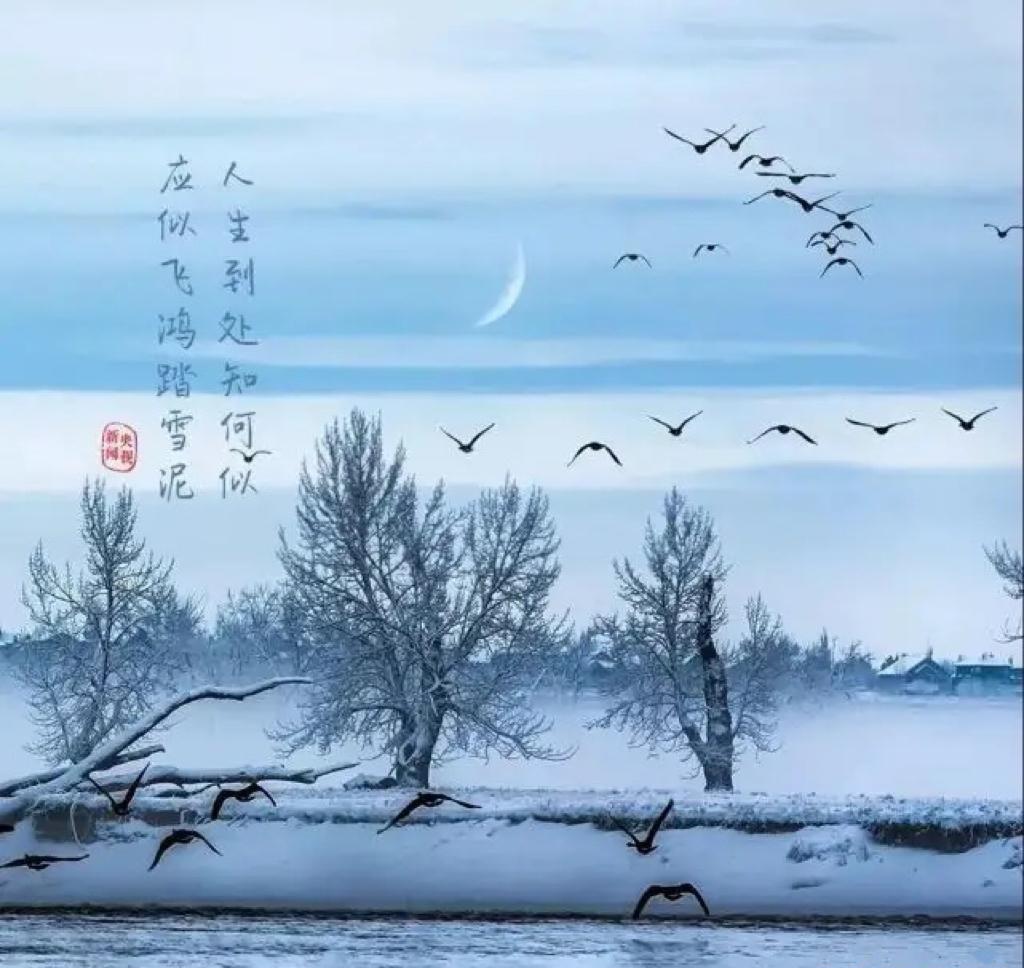 人生到处知何似,应似飞鸿踏雪泥. 泥上偶然留指爪,鸿飞那复计东西.