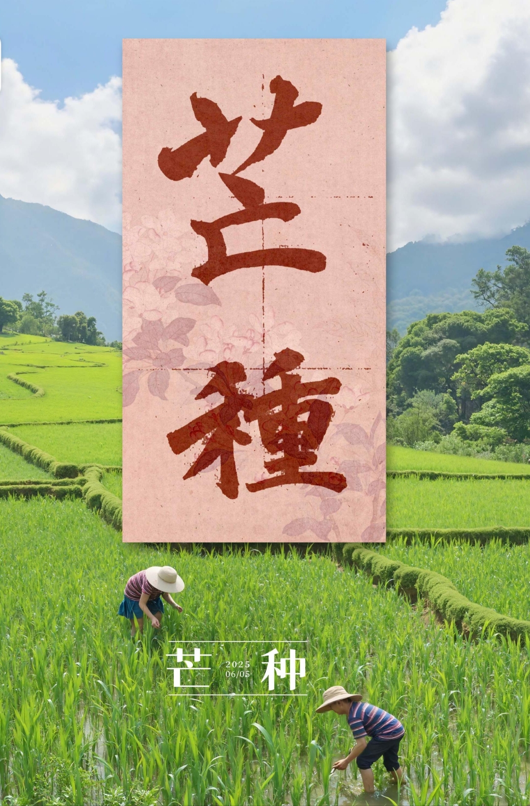 芒种:耕耘与收获的交响