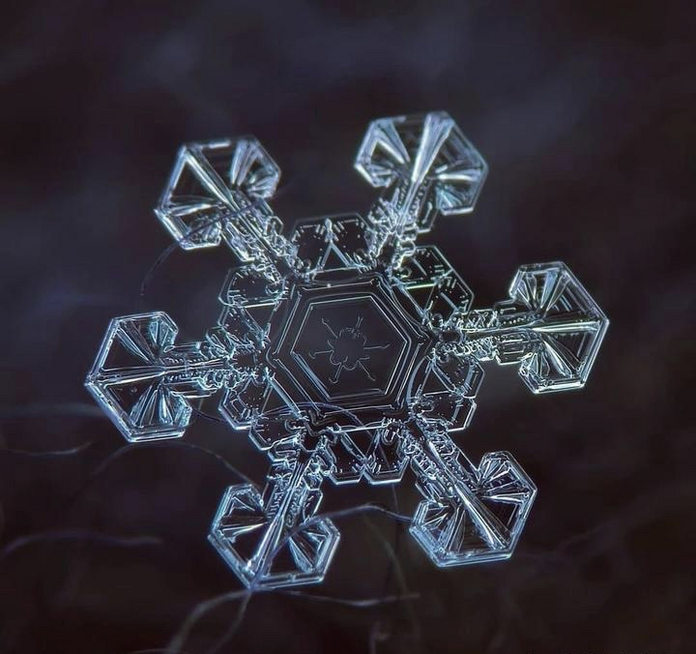 美丽的雪花在高倍显微镜下生成的图片