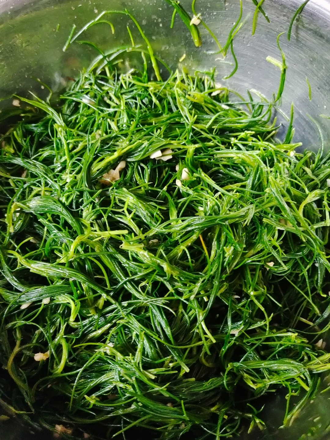 我们这叫猪尾巴草,你们那叫什么?