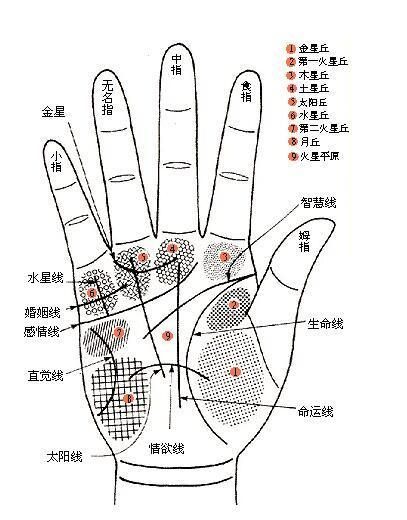 断掌富贵的原因  首先,断掌纹非常少见