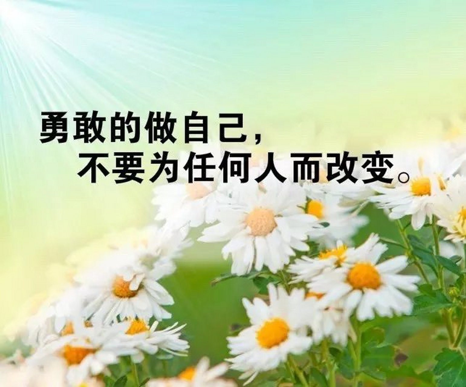 请放下你的浮躁,放下你的懒惰,放下你的三分钟热度,放空你禁不住诱惑