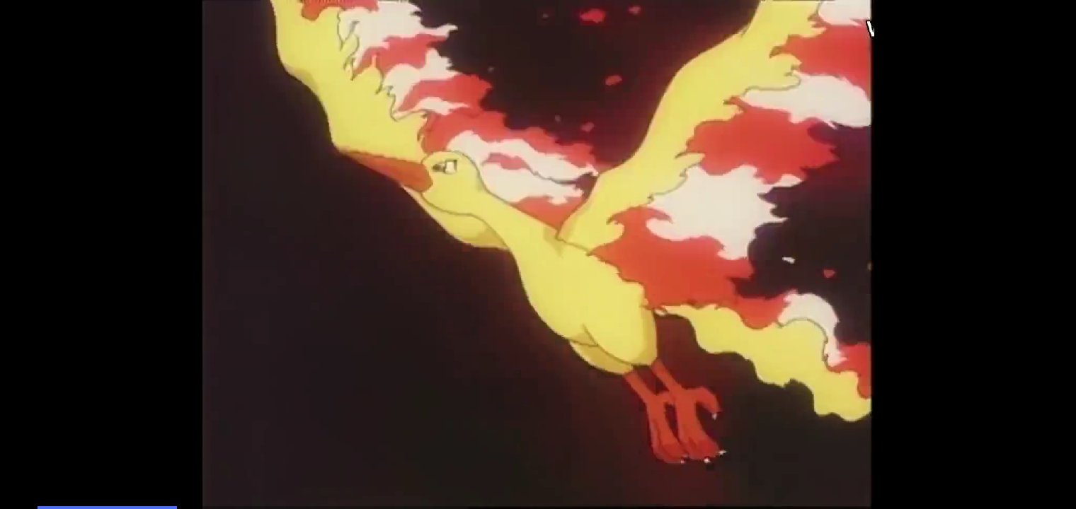 神奇宝贝中火鸟之王----------------火焰鸟