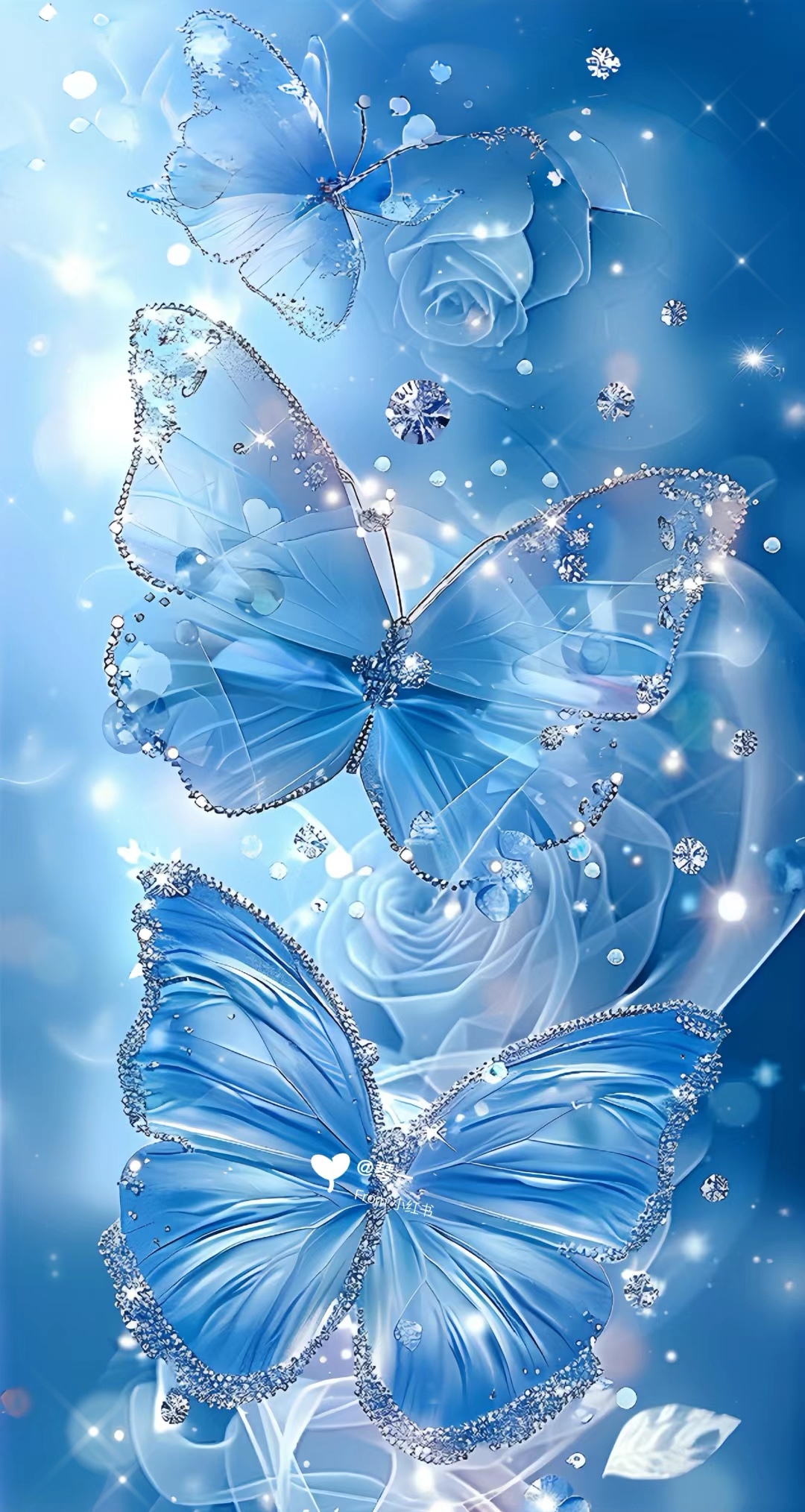 💫梦幻般的画面,仿佛置身仙境,这就是我最近探索的秘密花园!