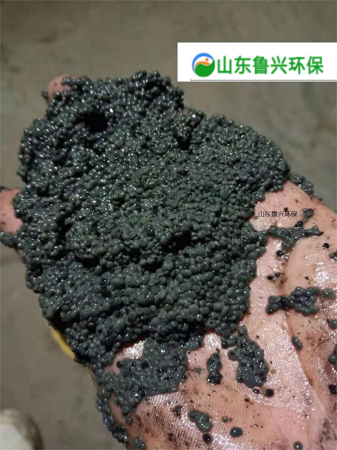 生产厂家,厌氧颗粒污泥生产厂家,厌氧污泥颗粒厂家,厌氧颗粒污泥厂家