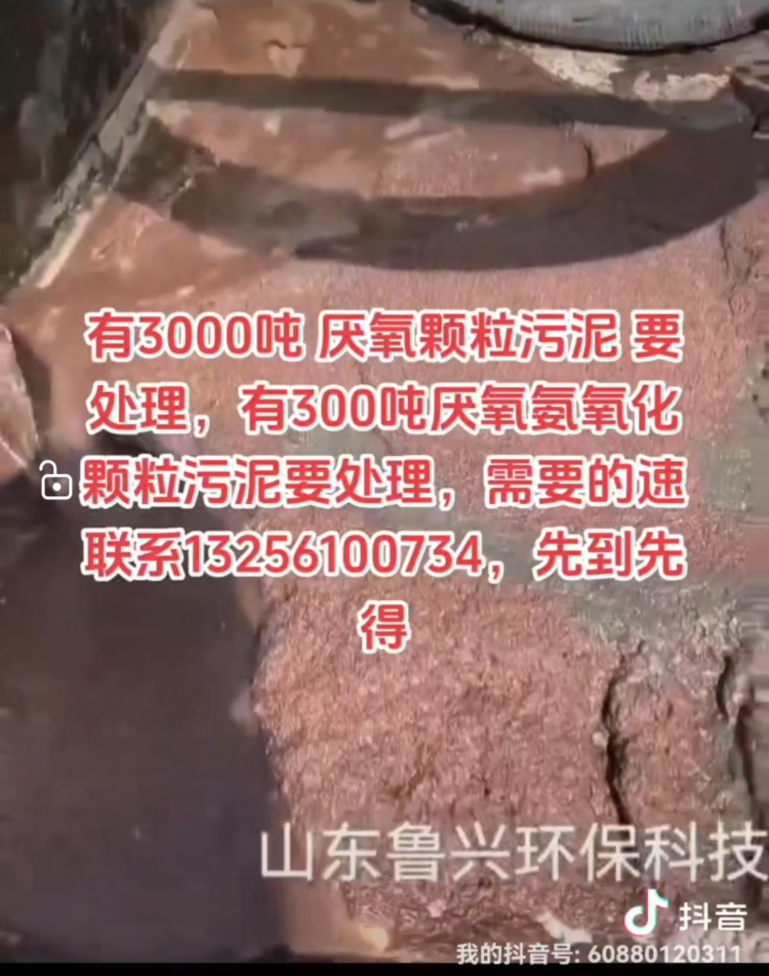 有3000吨 厌氧颗粒污泥 要处理,有300吨厌氧氨氧化颗粒污泥要处理