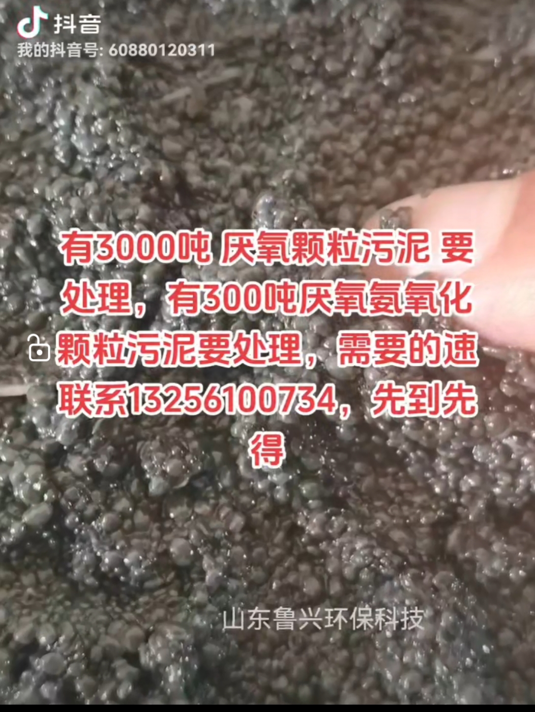 有3000吨 厌氧颗粒污泥 要处理,有300吨厌氧氨氧化颗粒污泥要处理